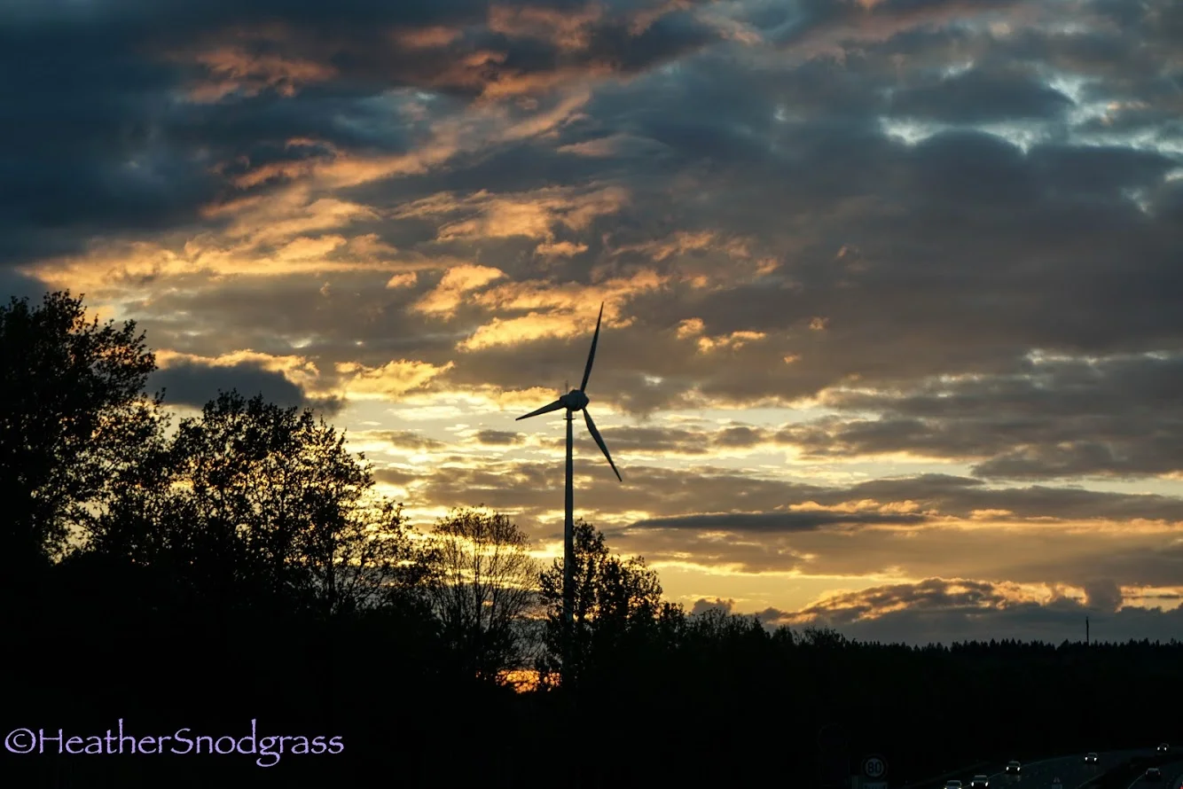 Germany Driving 2.jpeg