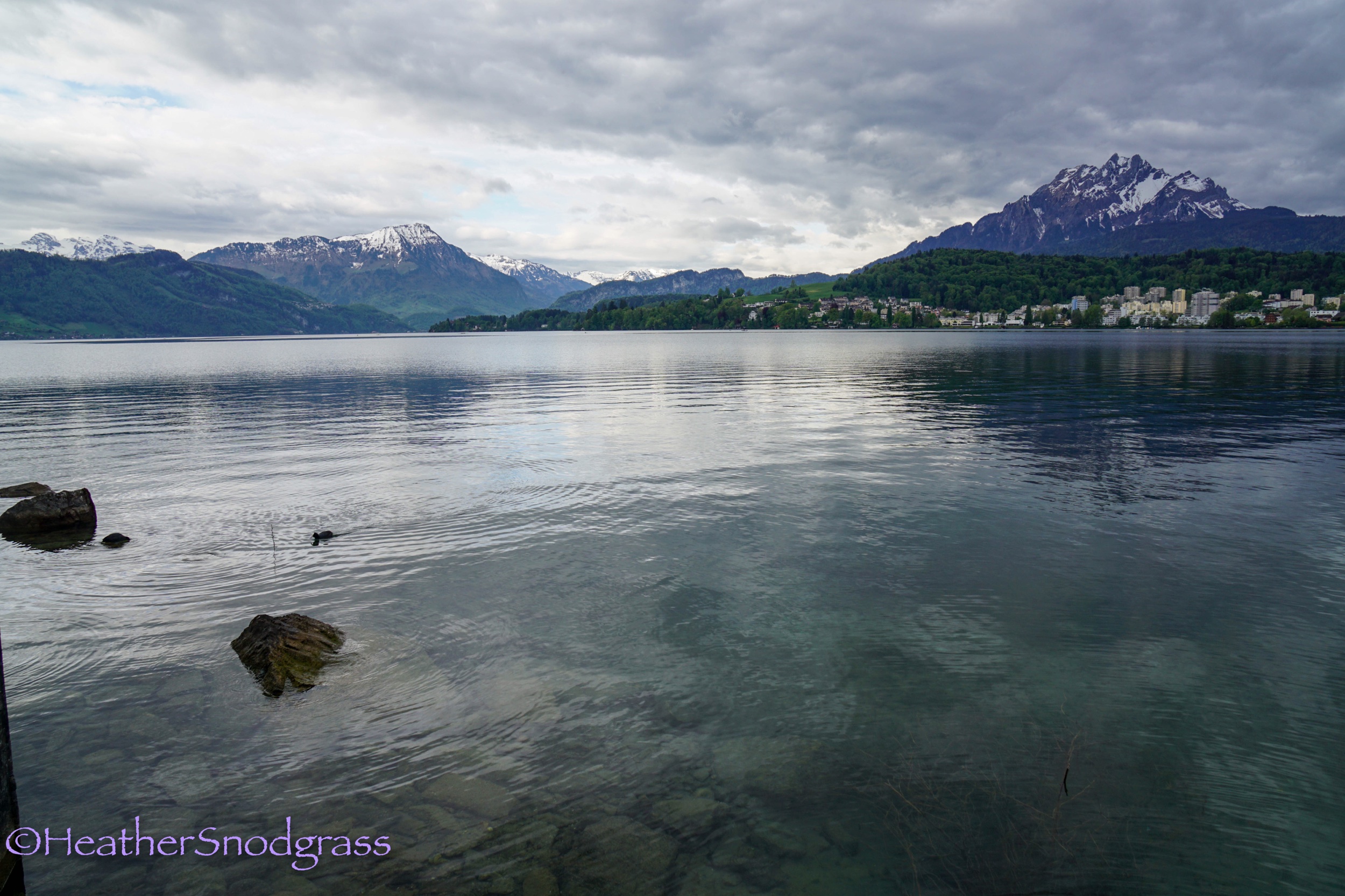 Lake Lucerne Morning 4.jpeg