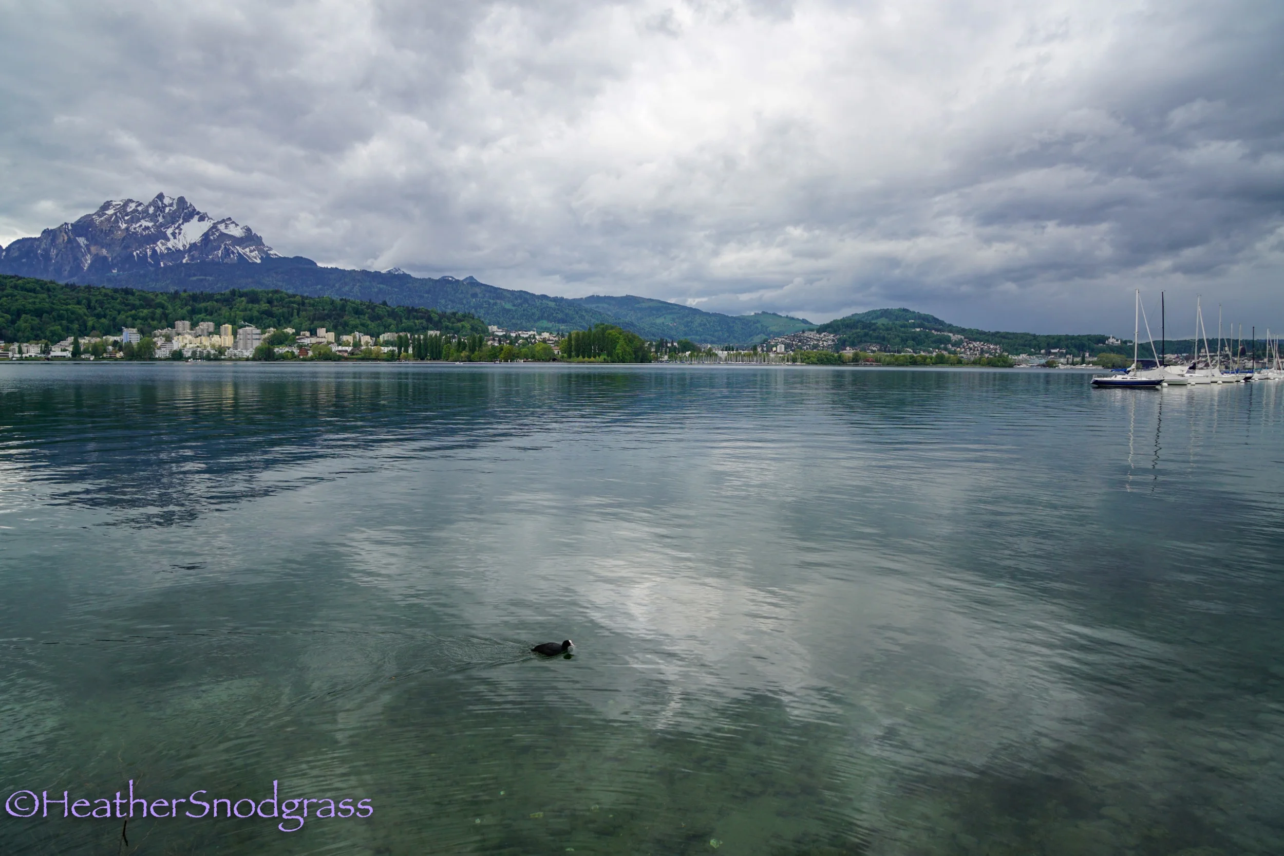 Lake Lucerne Morning 5.jpeg