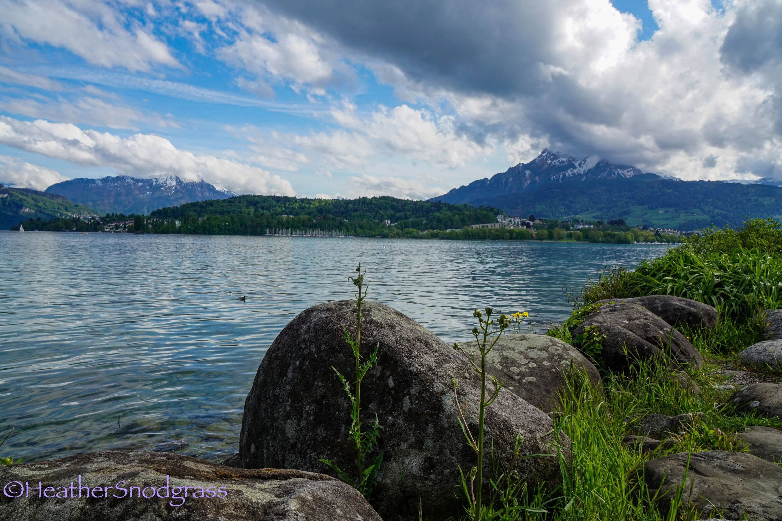 Lake Lucerne 6.jpeg