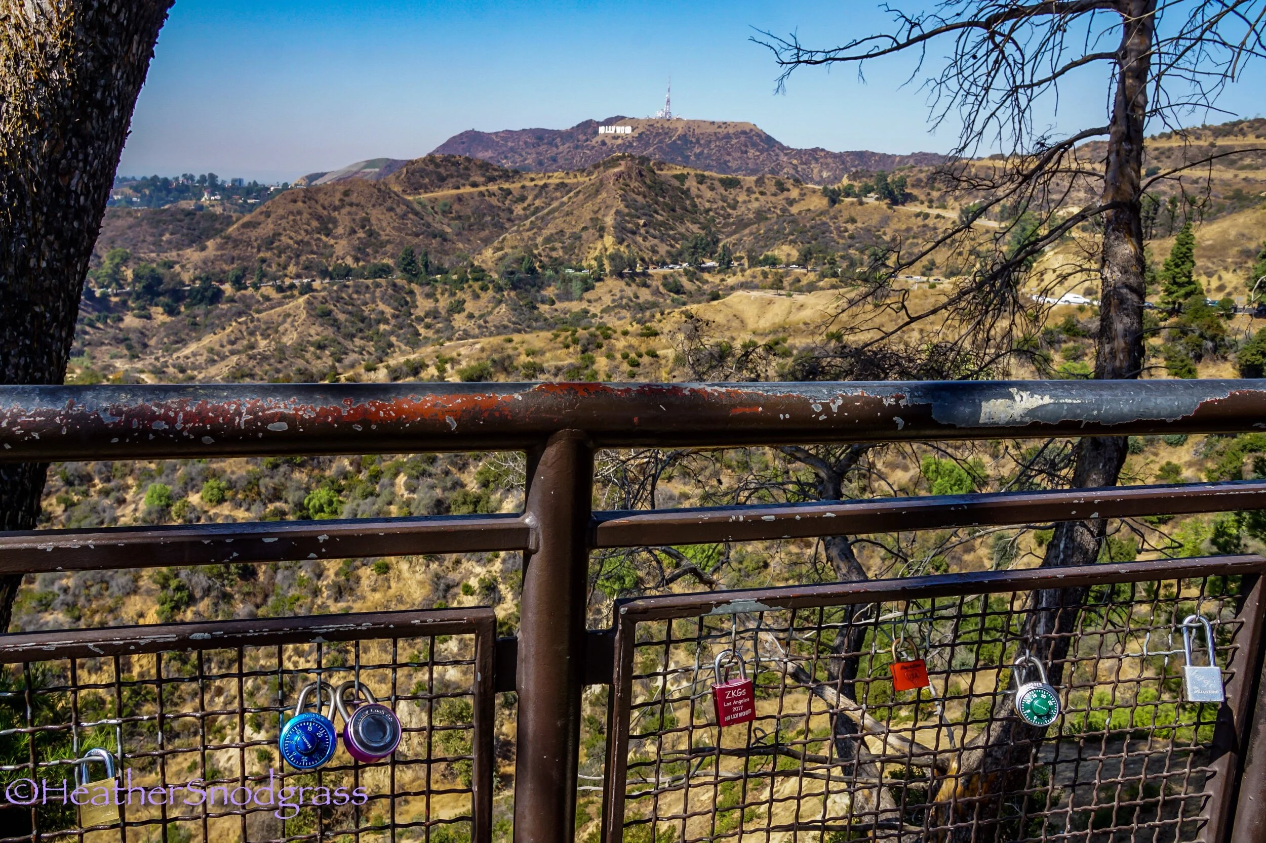 Hollywood Sign Lock Fence.jpeg