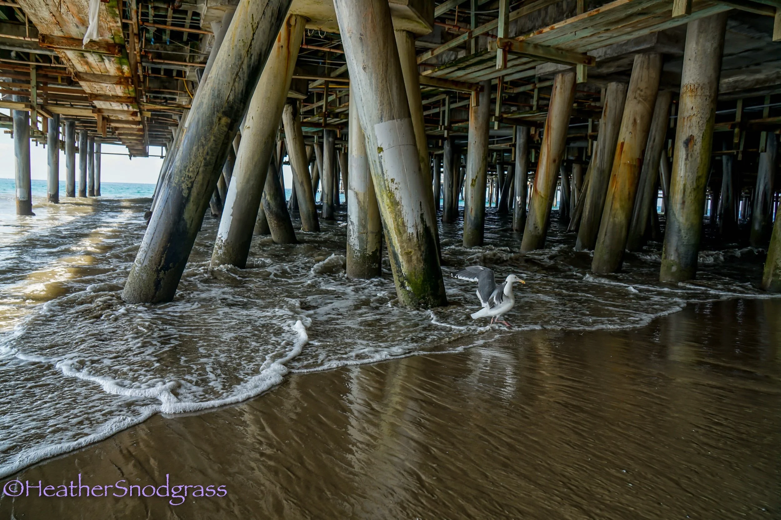 Under Santa Monica Pier