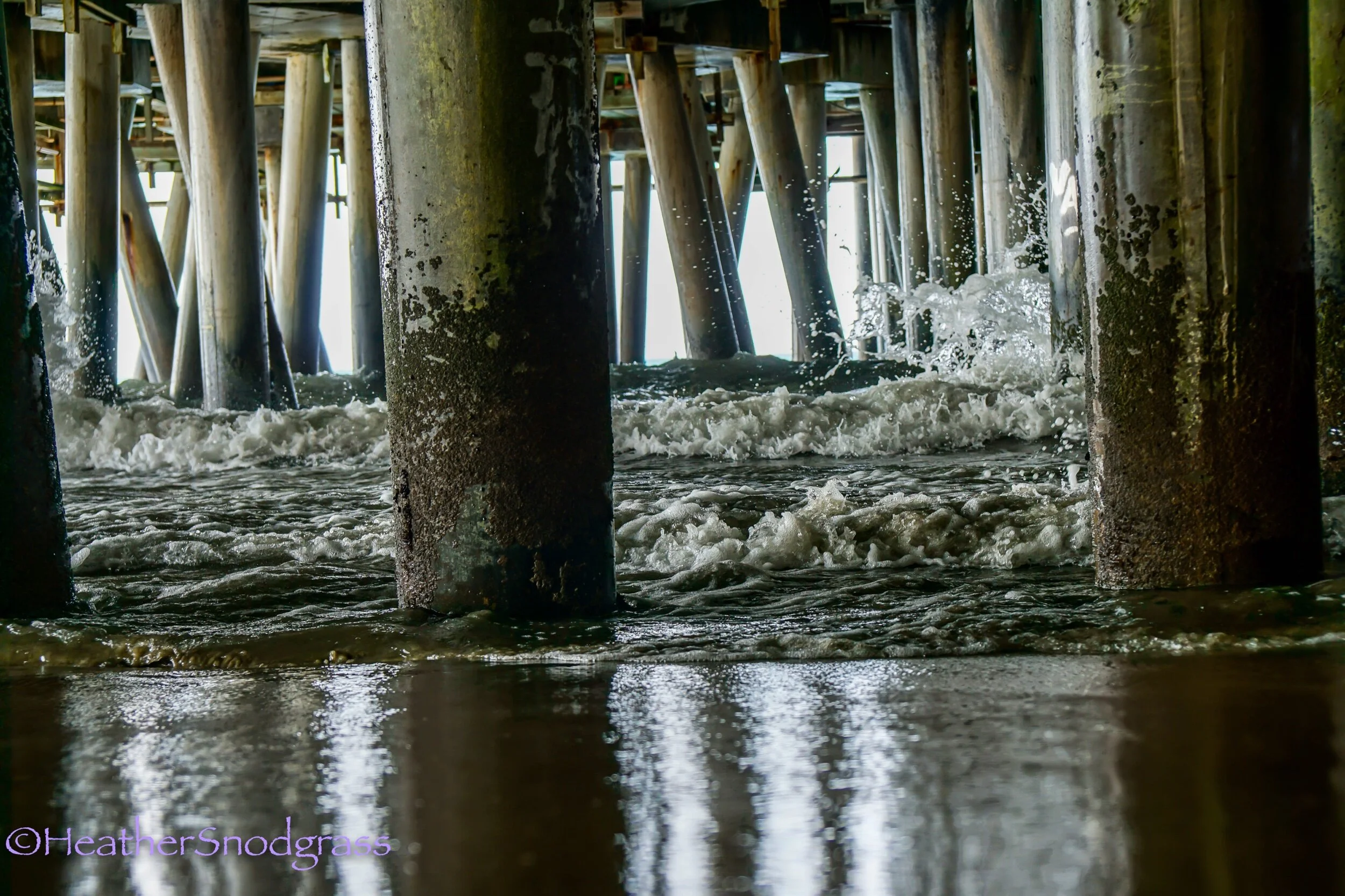 Under Santa Monica Pier