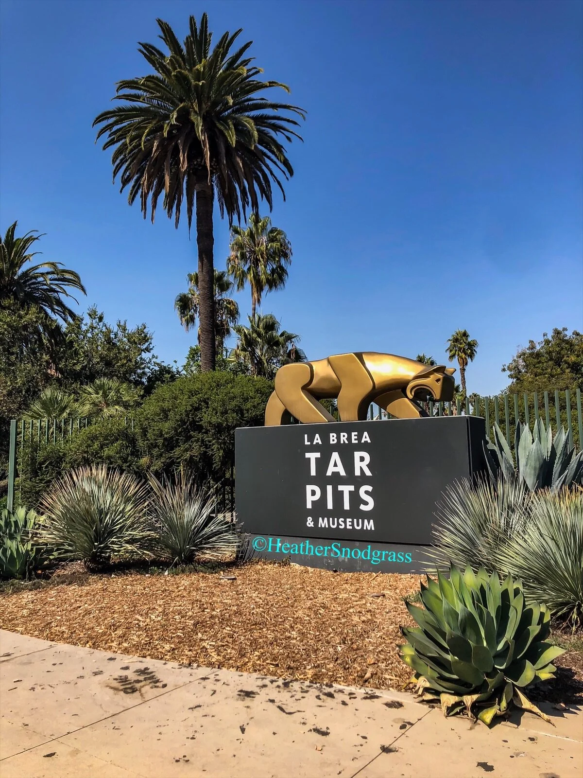 La Brea Tar Pits