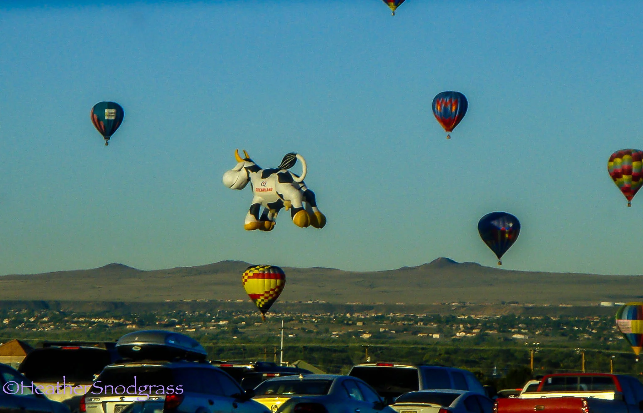Albuquerque Balloon Fest 3.jpeg