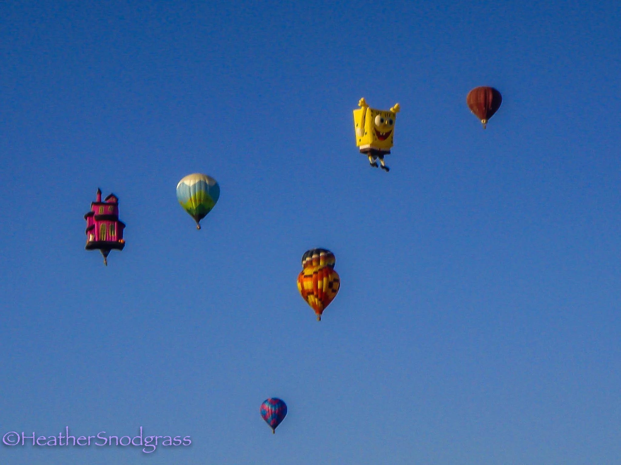Albuquerque Balloon Fest 4.jpeg
