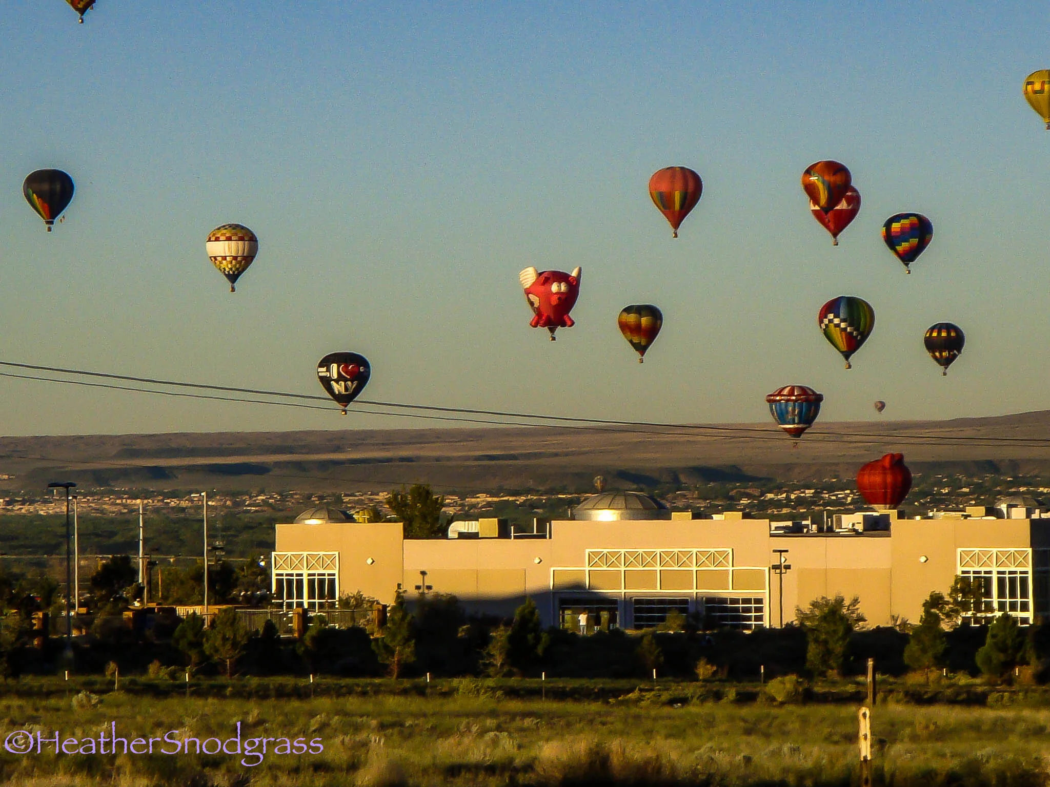 Albuquerque Balloon Fest 2.jpeg