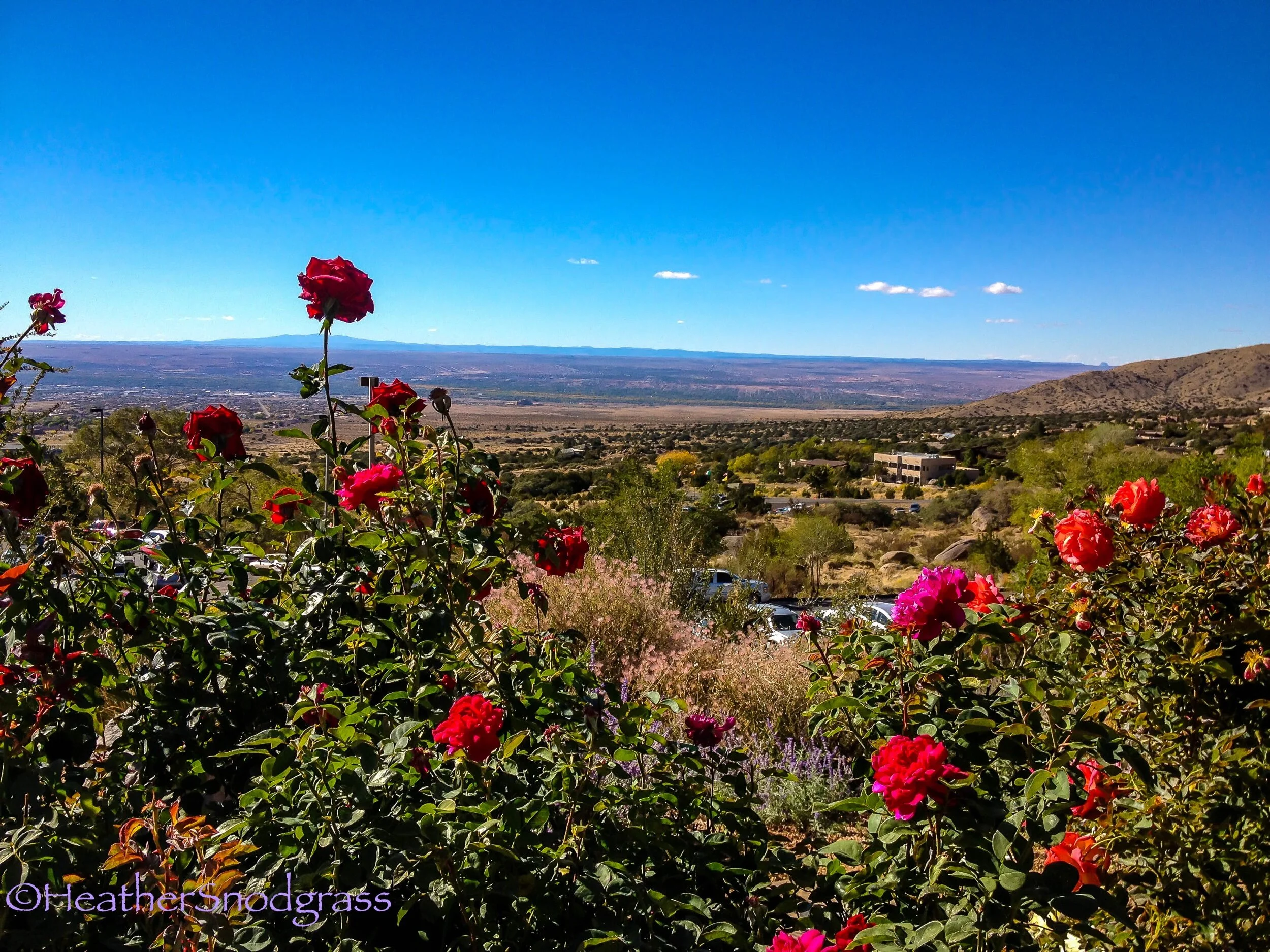 Albuquerque 1.jpeg