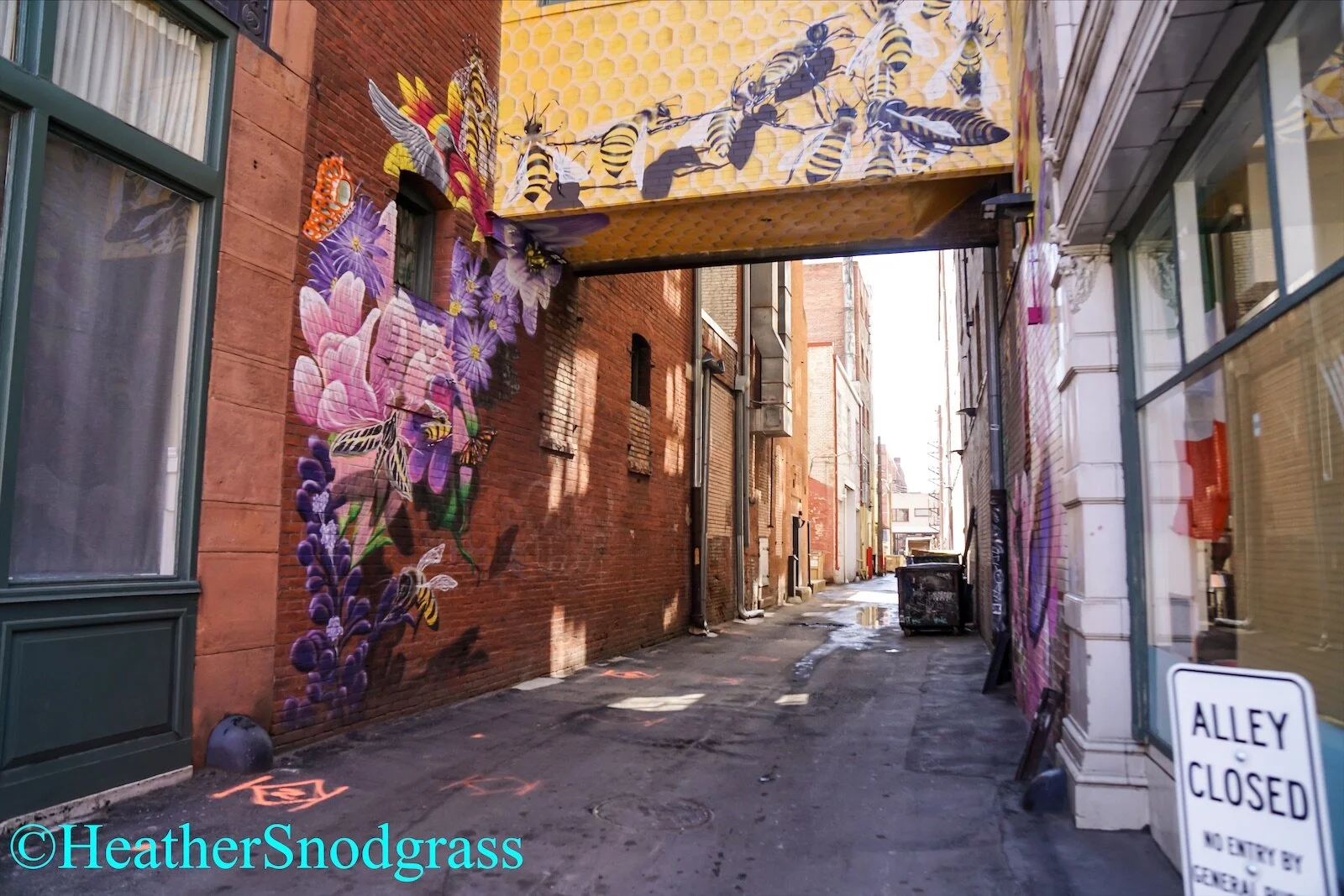 Empty alleyways