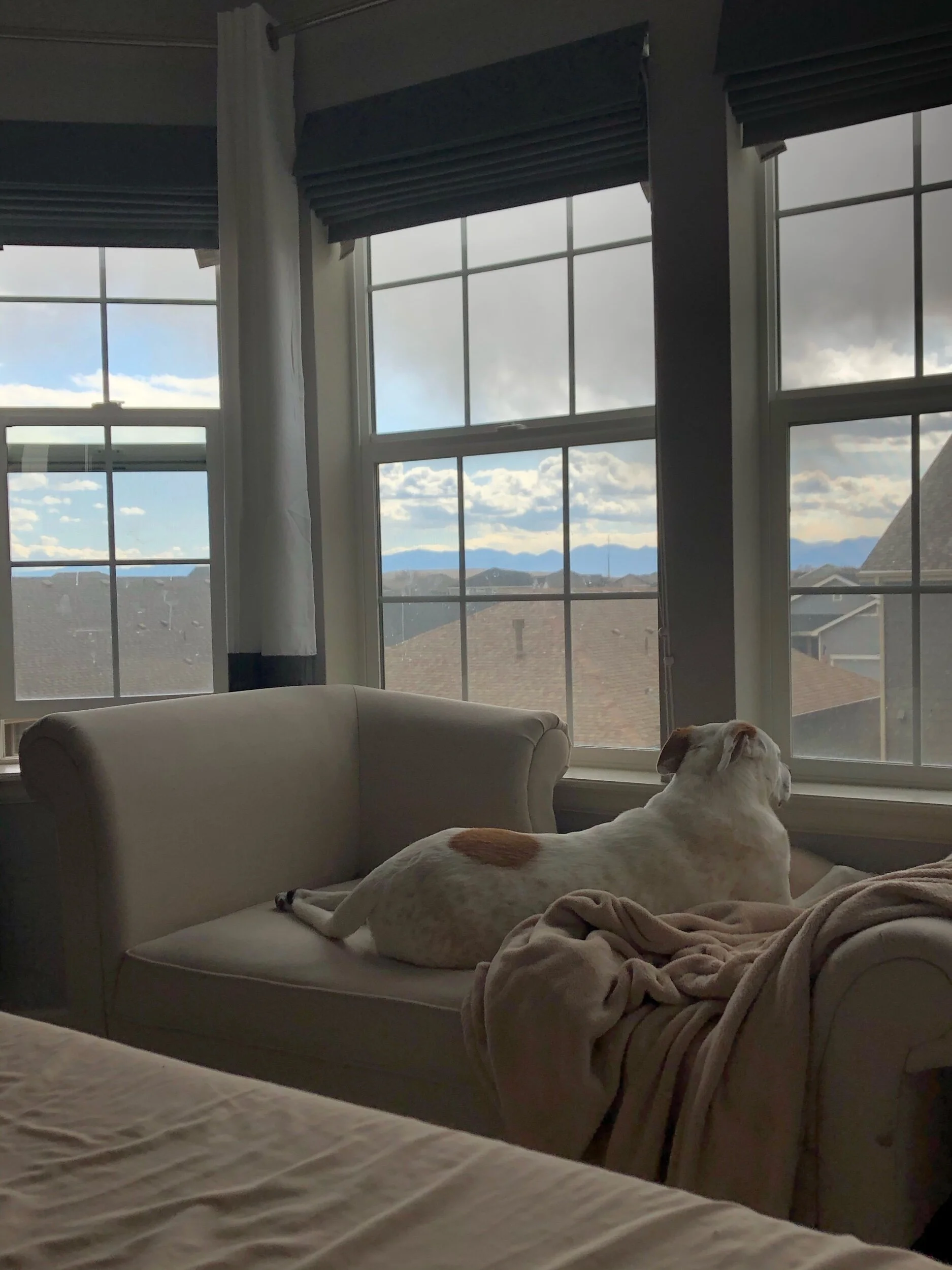 Not a bad view from my bad to watch the days pass around me and definitely good company