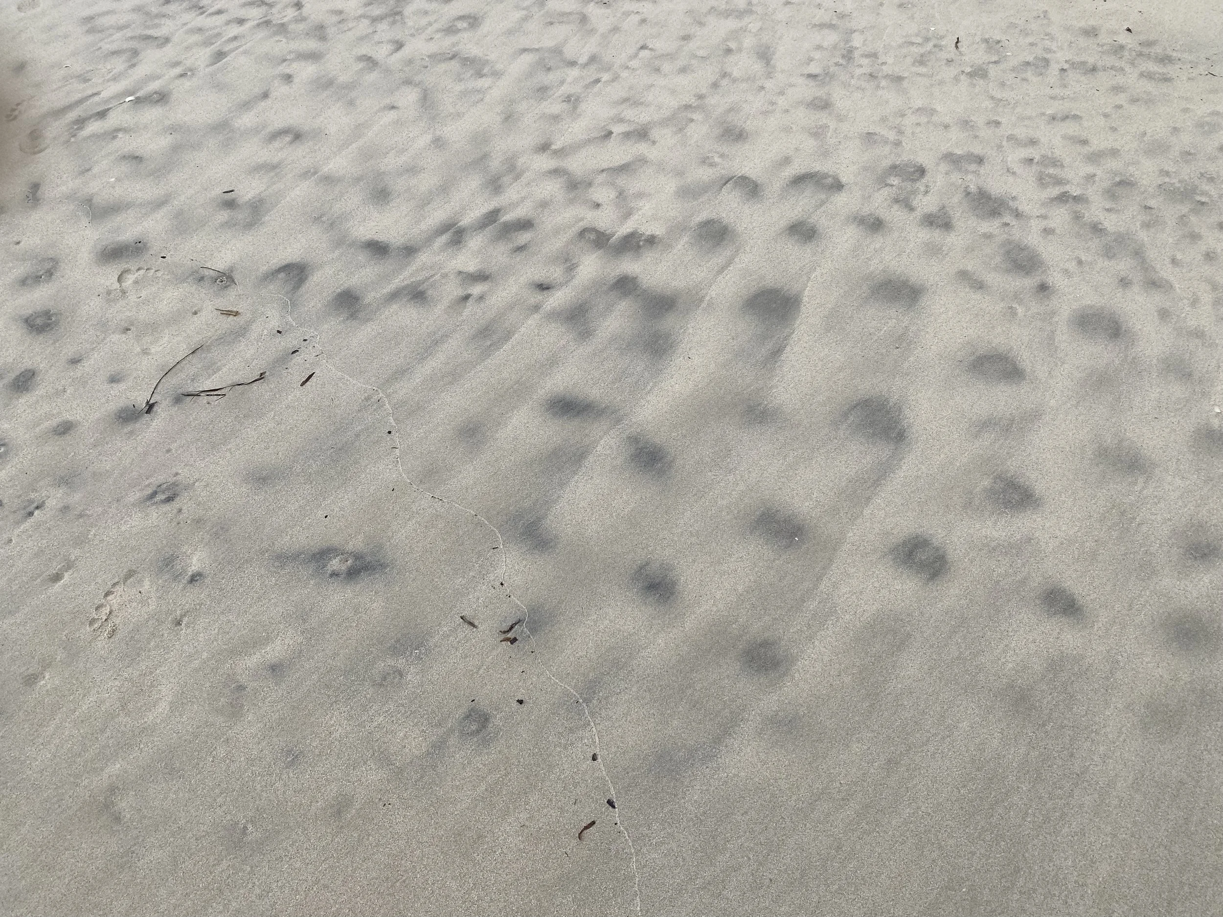 IMG_0684.jpeg