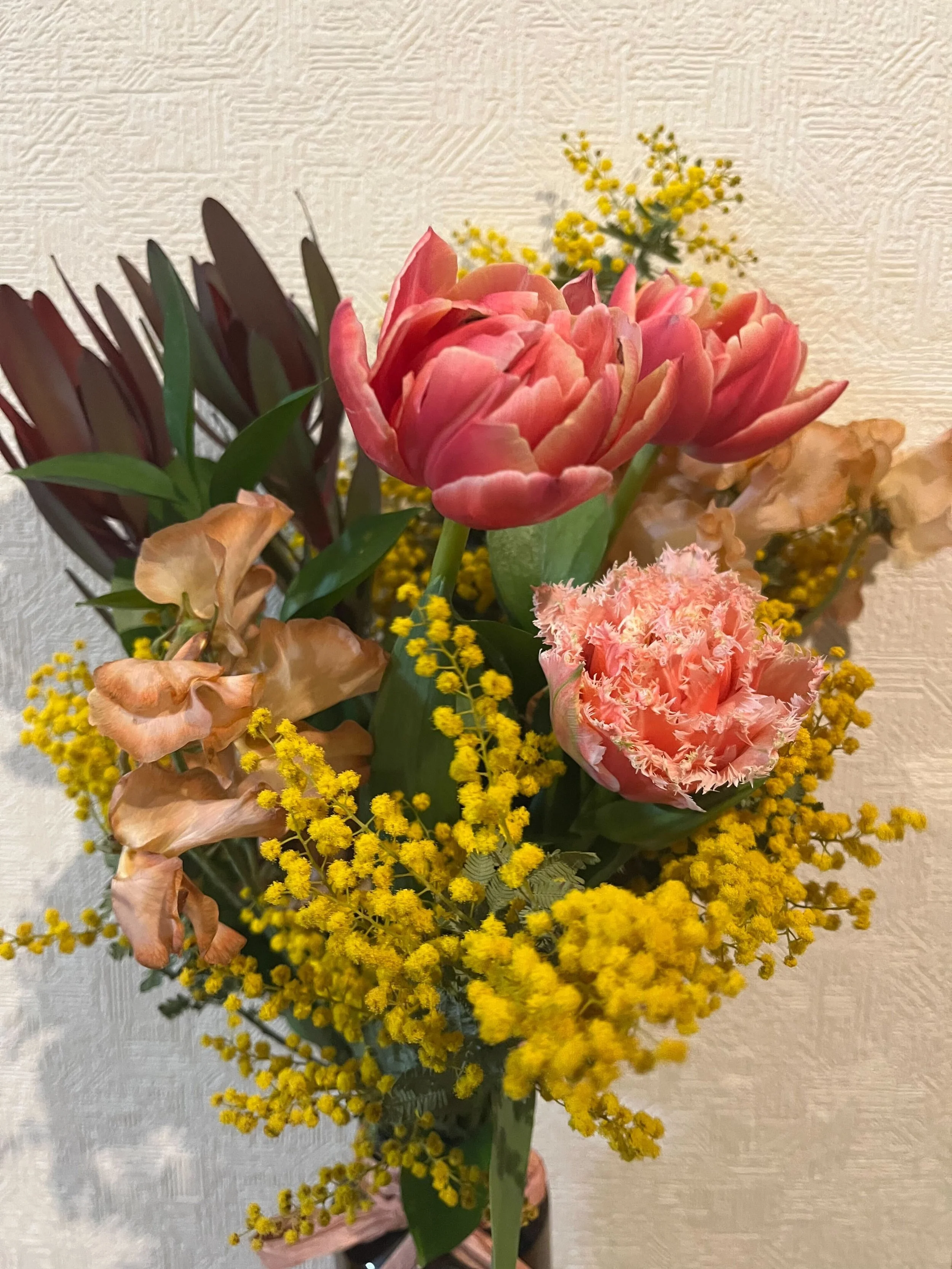 [日記] 黄金の冬　2026年3月2日〜3月8日