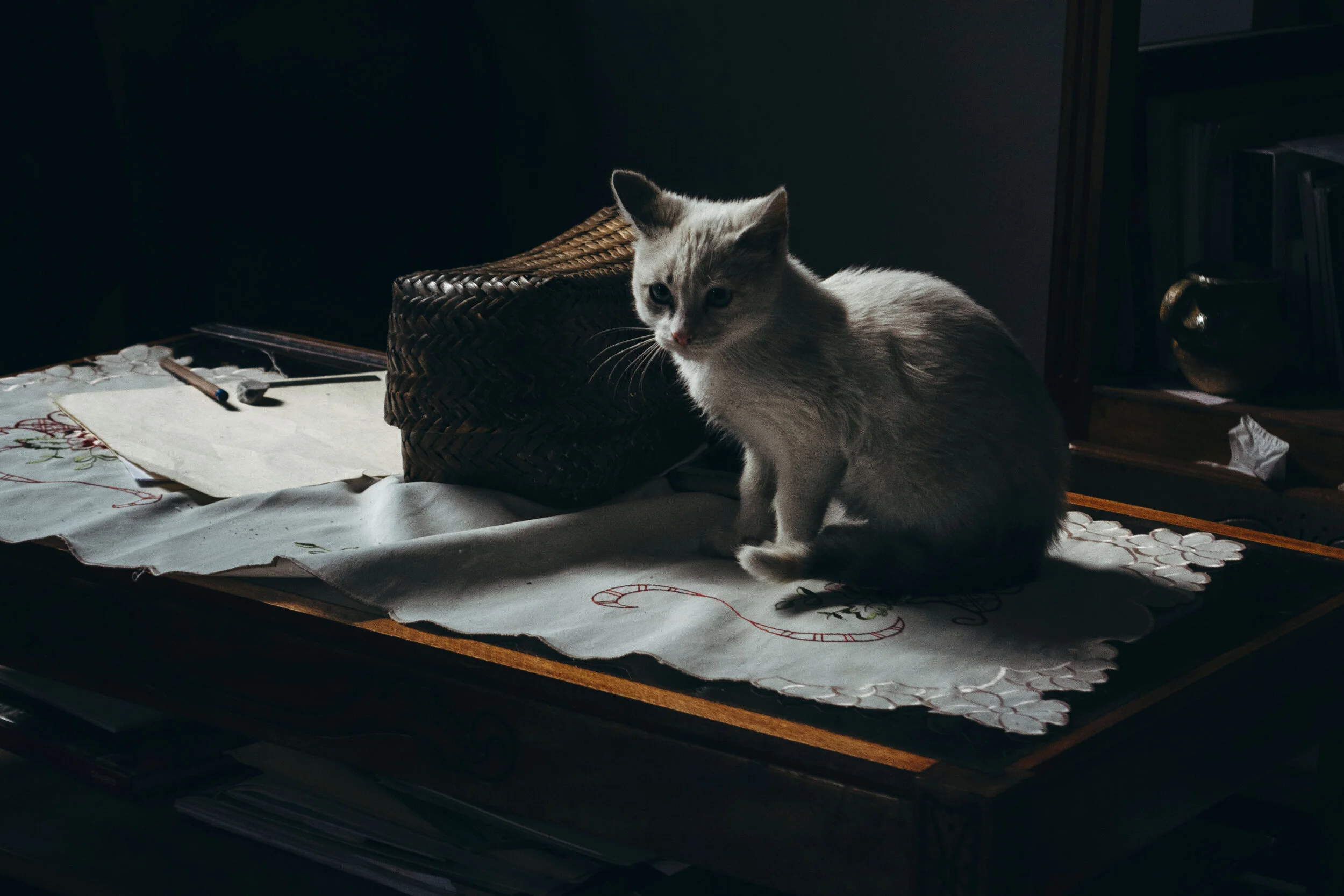 PortraitsofHome_01.jpg