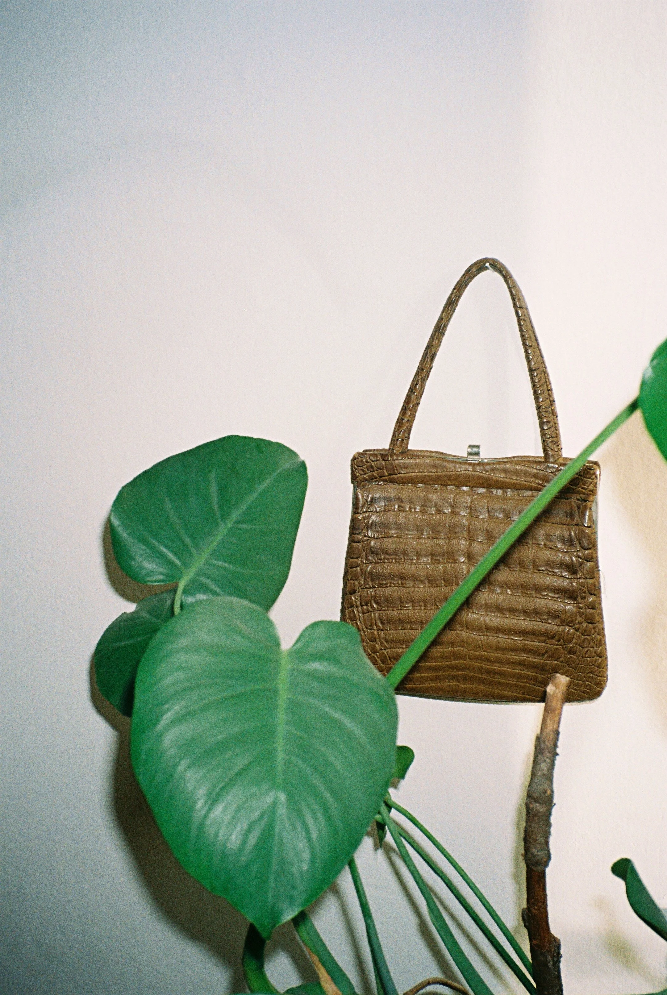 brown kroko handbag