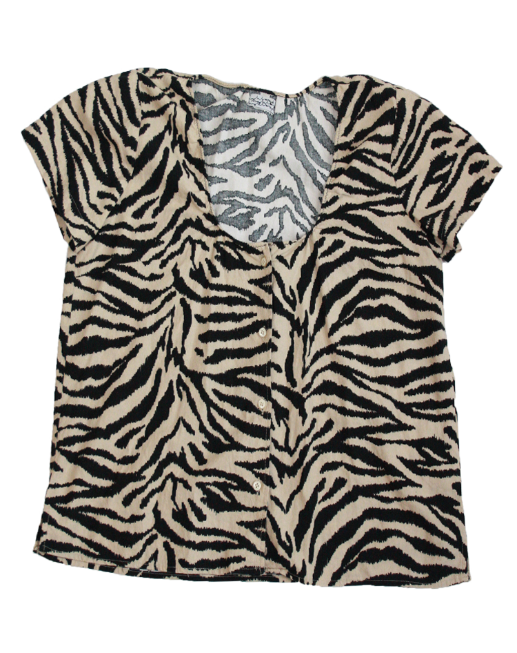 zebra.png