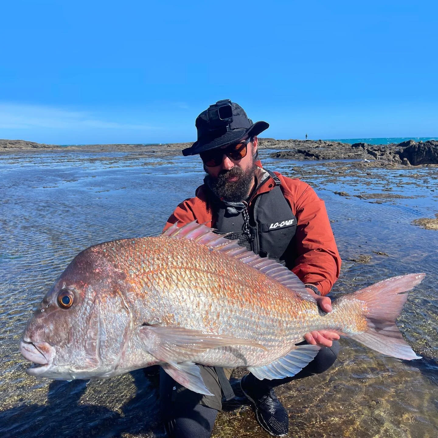 When theres no kings it was nice to mix it up and end up plucking this ripper from under a kahawai livie.

@daiwa_nz Bait Junkie 3/8oz 3/0 Jig Head and 5&rdquo; Grey Nomad Jerk Shad have me sold for life.

Too bad I couldn&rsquo;t stop his big brothe