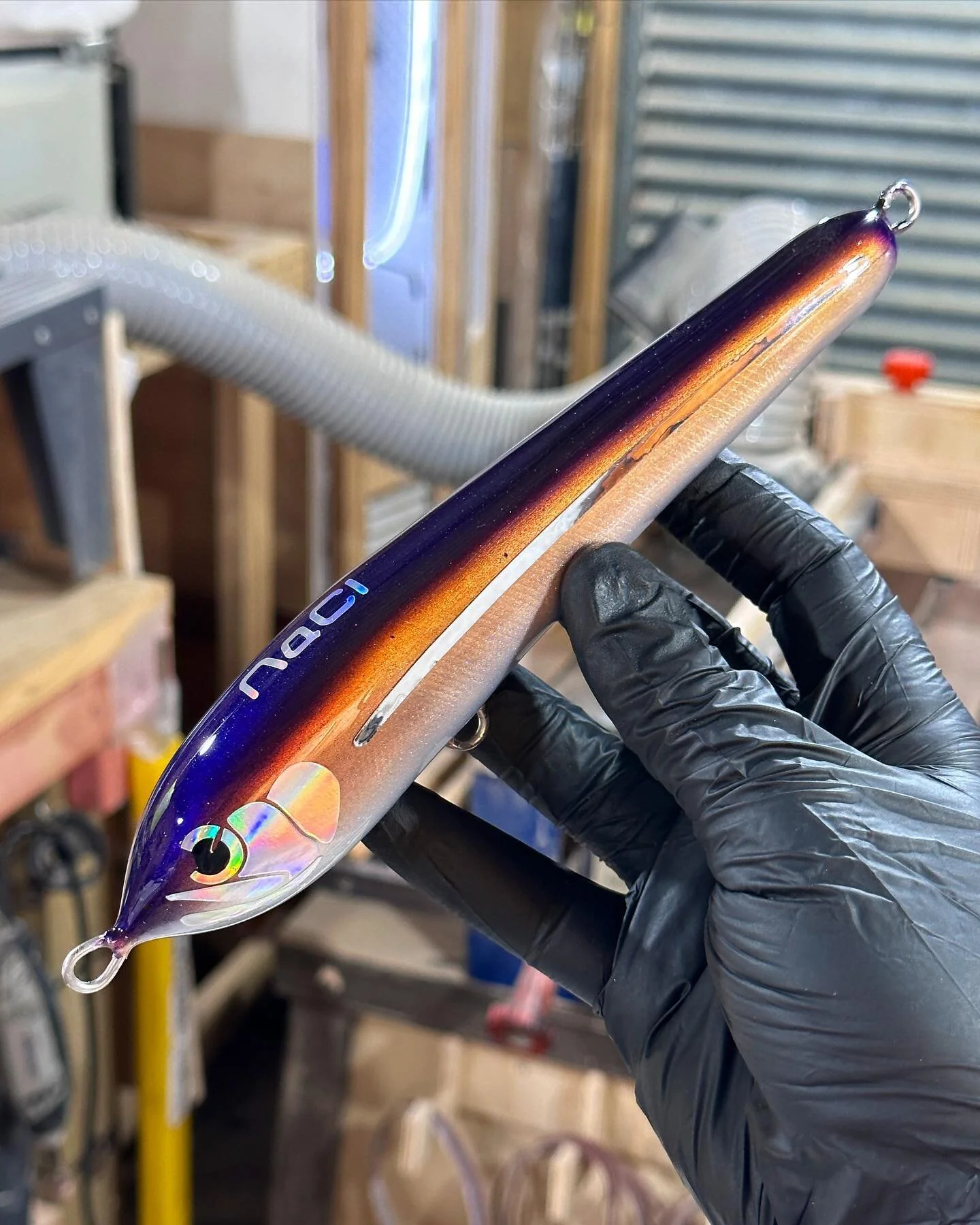 Basslet. 

Basslets belong to either one of two genus, the Gramma and Lipogramma. 

Native to reef environments of the tropical western Atlantic Ocean. Grammatidae are ray-finned and come in various shades of colors; most notably red, yellow, orange,