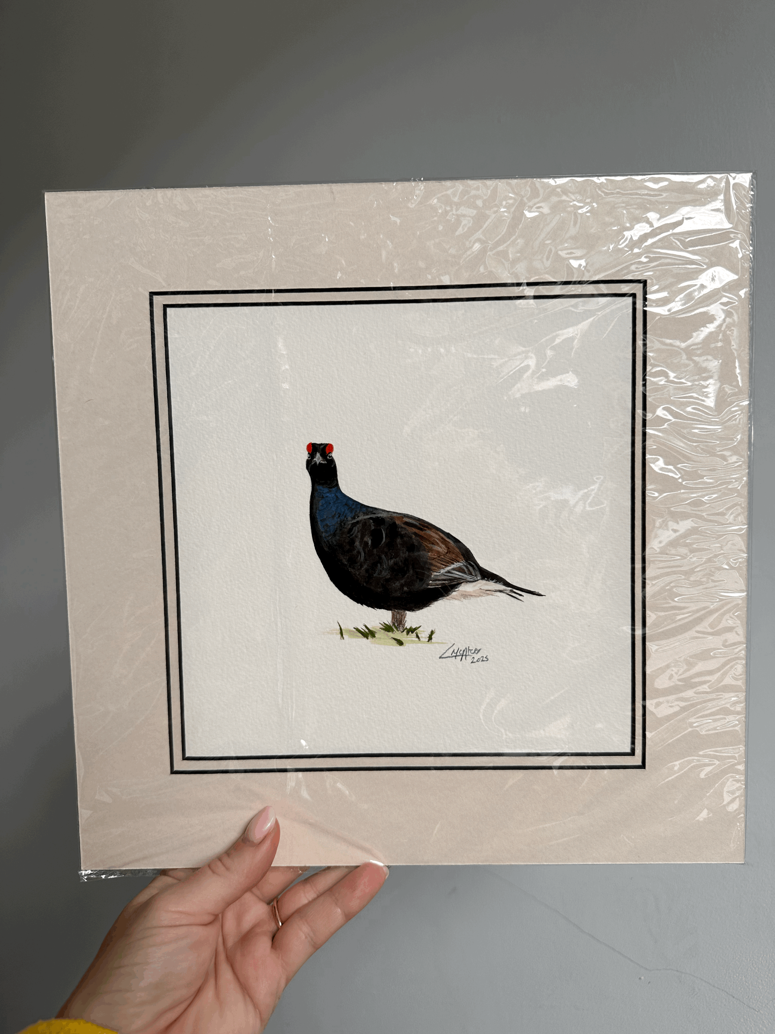 Black Grouse original painting - double mounted