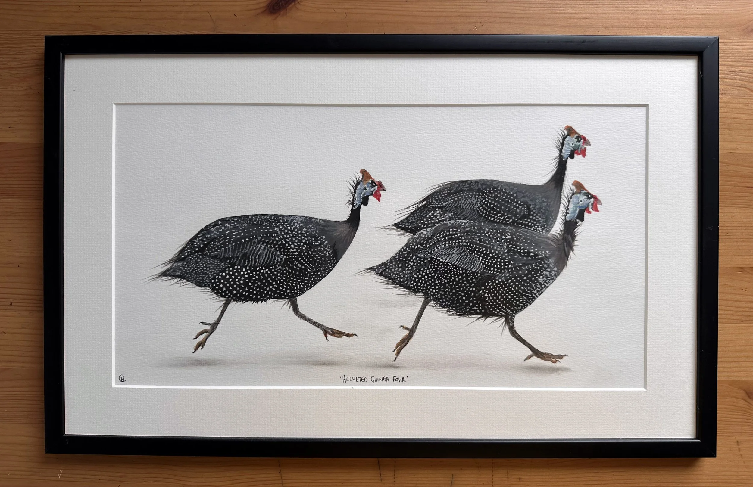 Guinea Fowl Running Original Painting