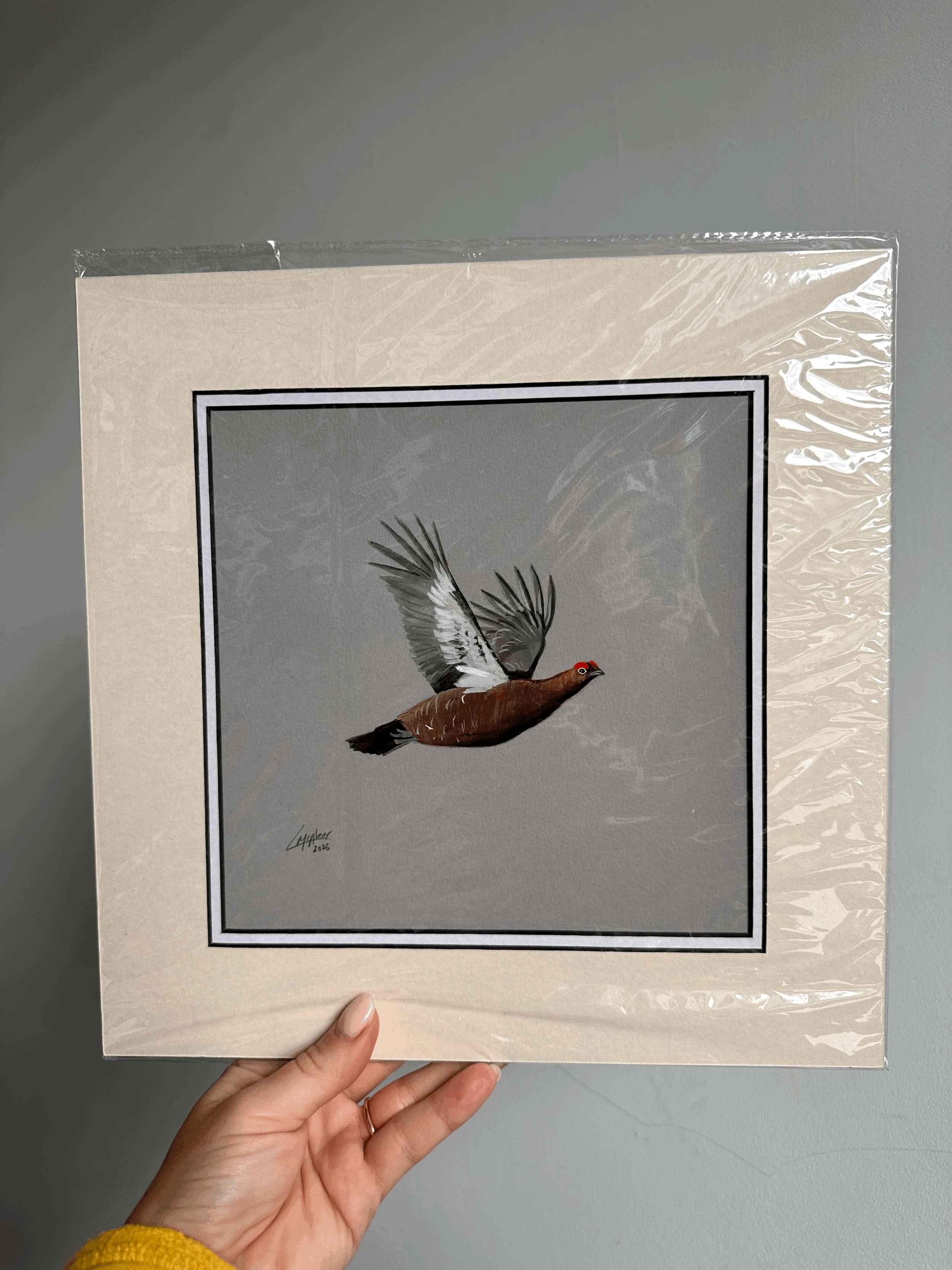 Red Grouse original painting- double mounted
