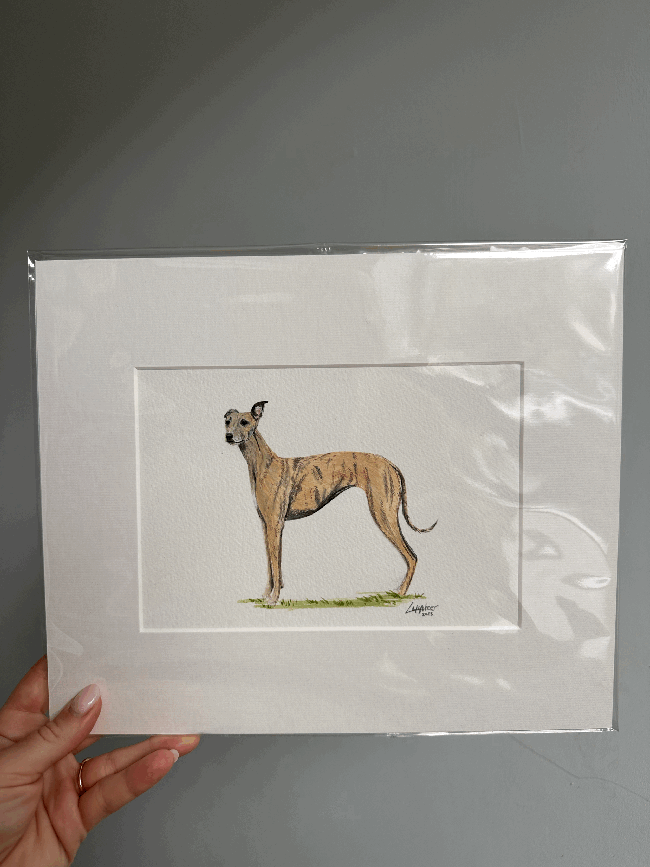 Whippet Brindle original painting - mounted