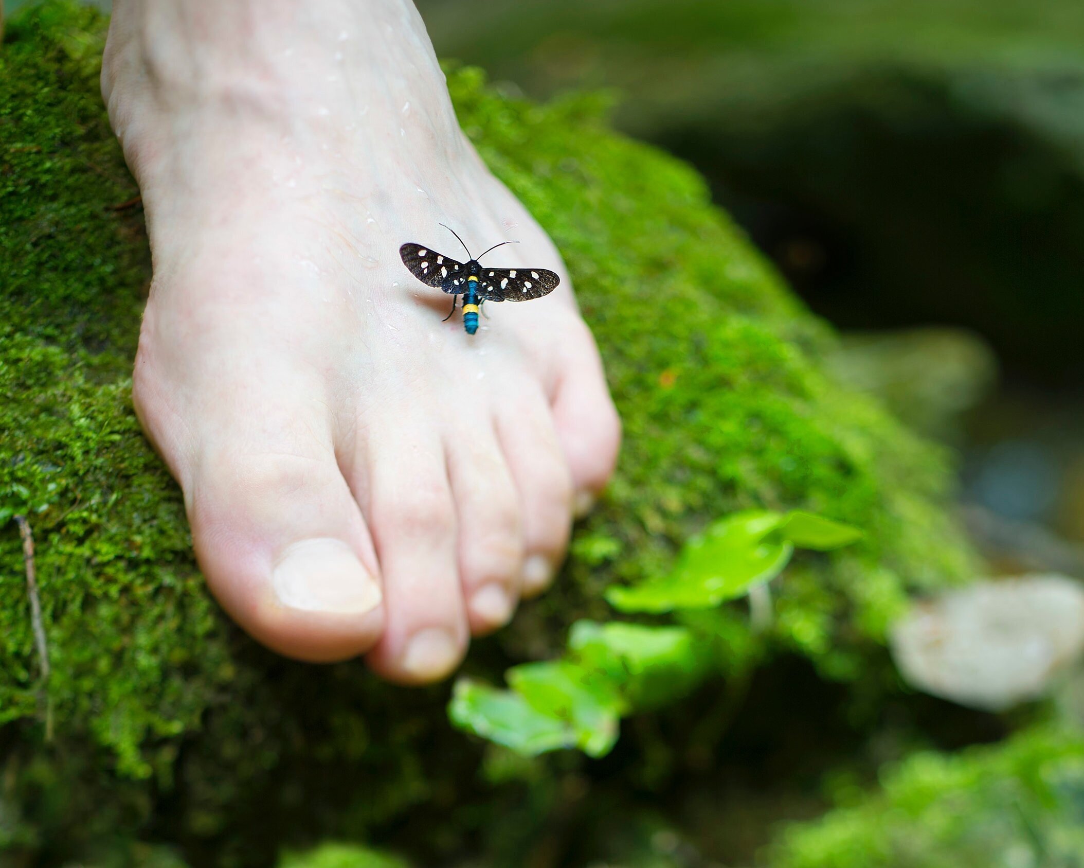 Minimally invasive surgery in harmony with your body