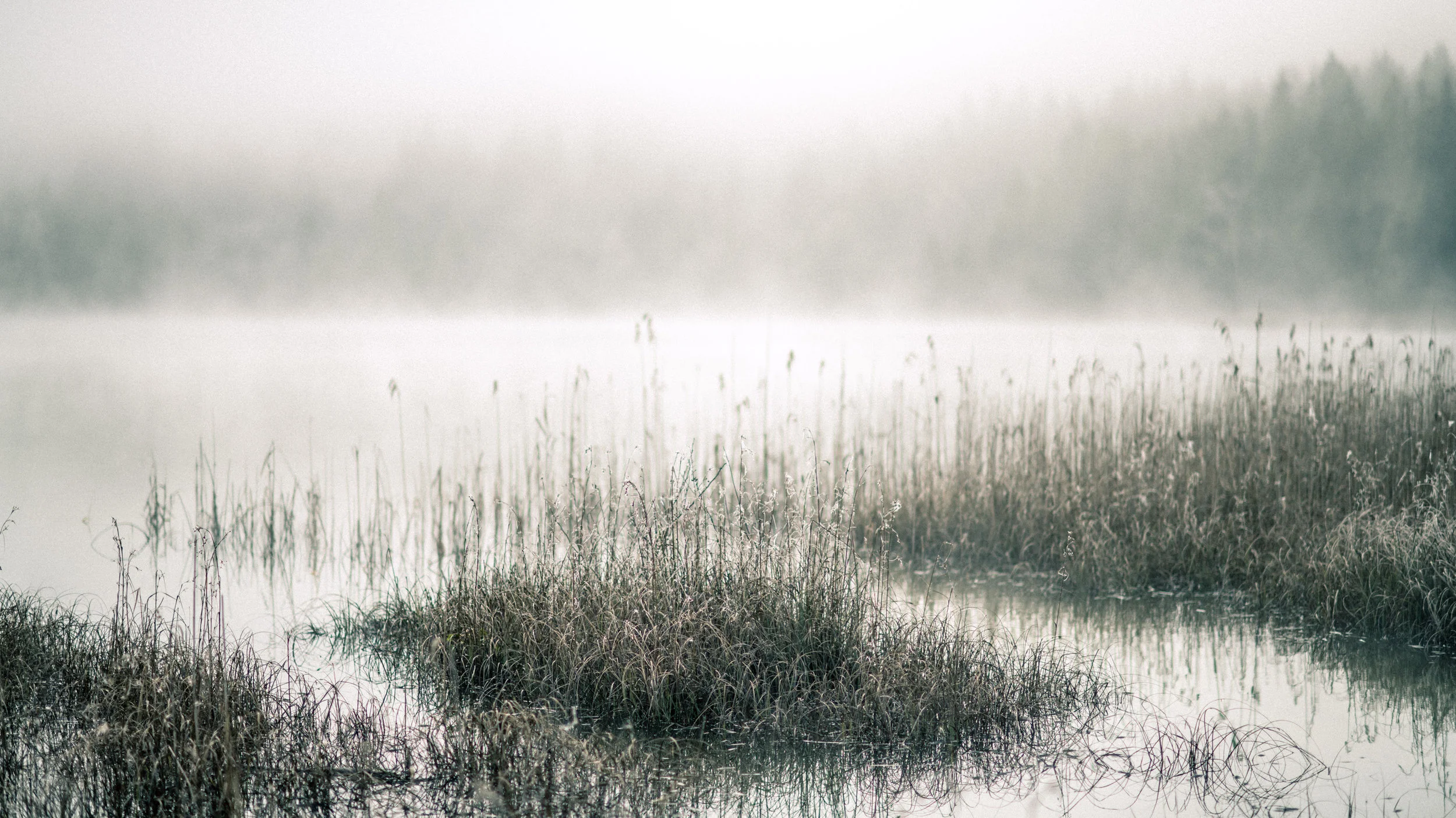 explorations (2018) - 39.jpg