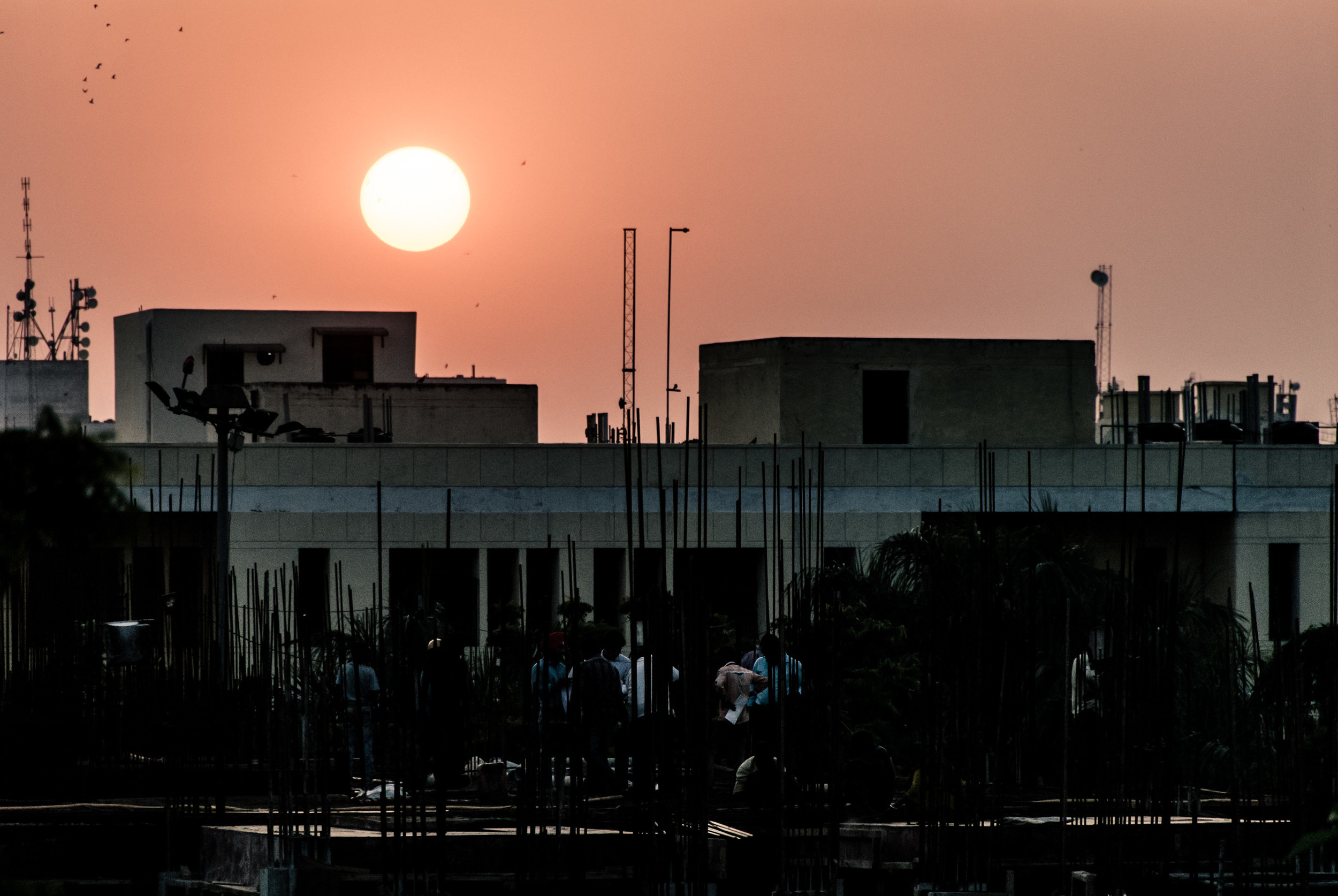 delhi (2017) - 14.jpg