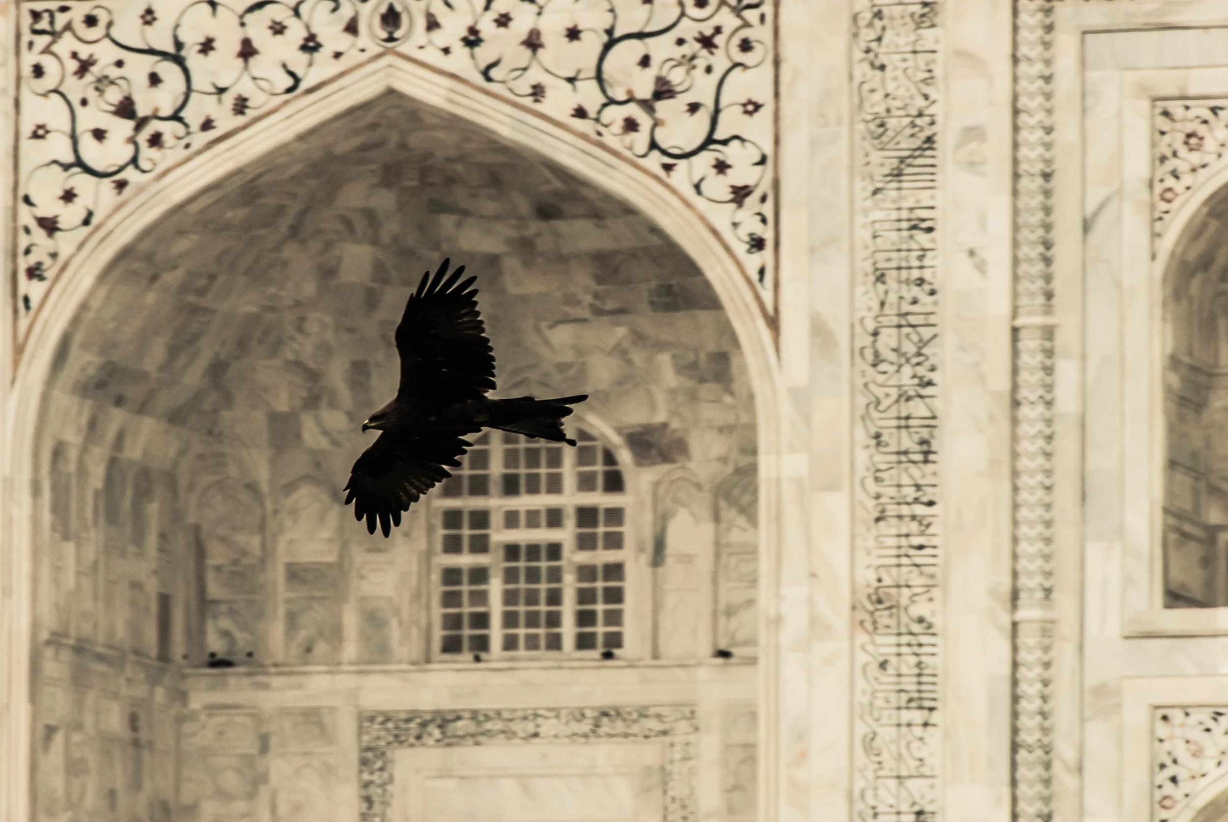 delhi (2017) - 19.jpg