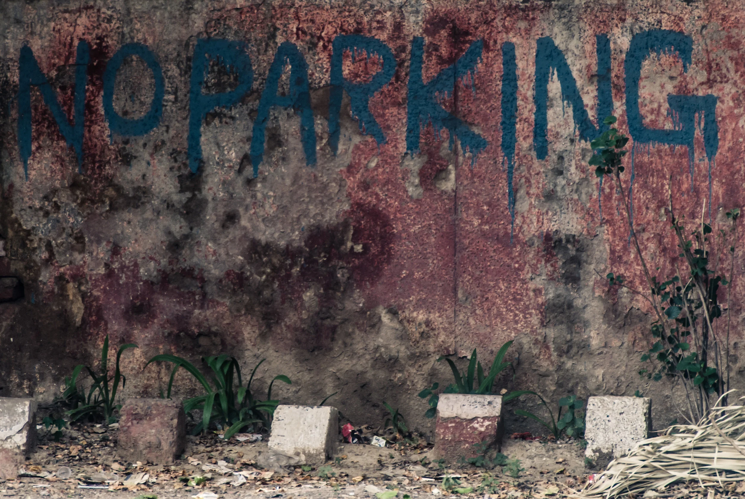 delhi (2017) - 22.jpg