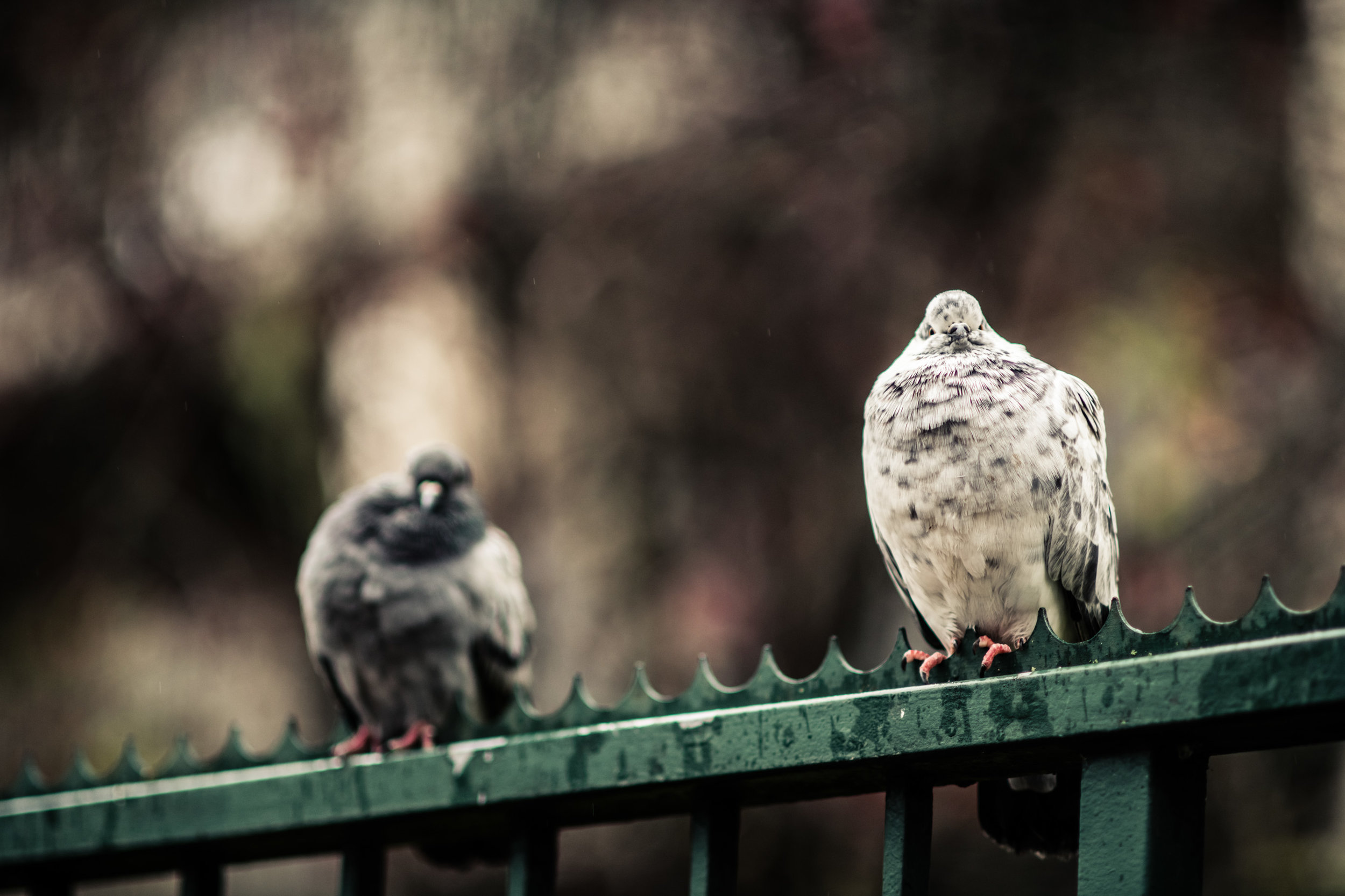 explorations (2017) - 08.jpg