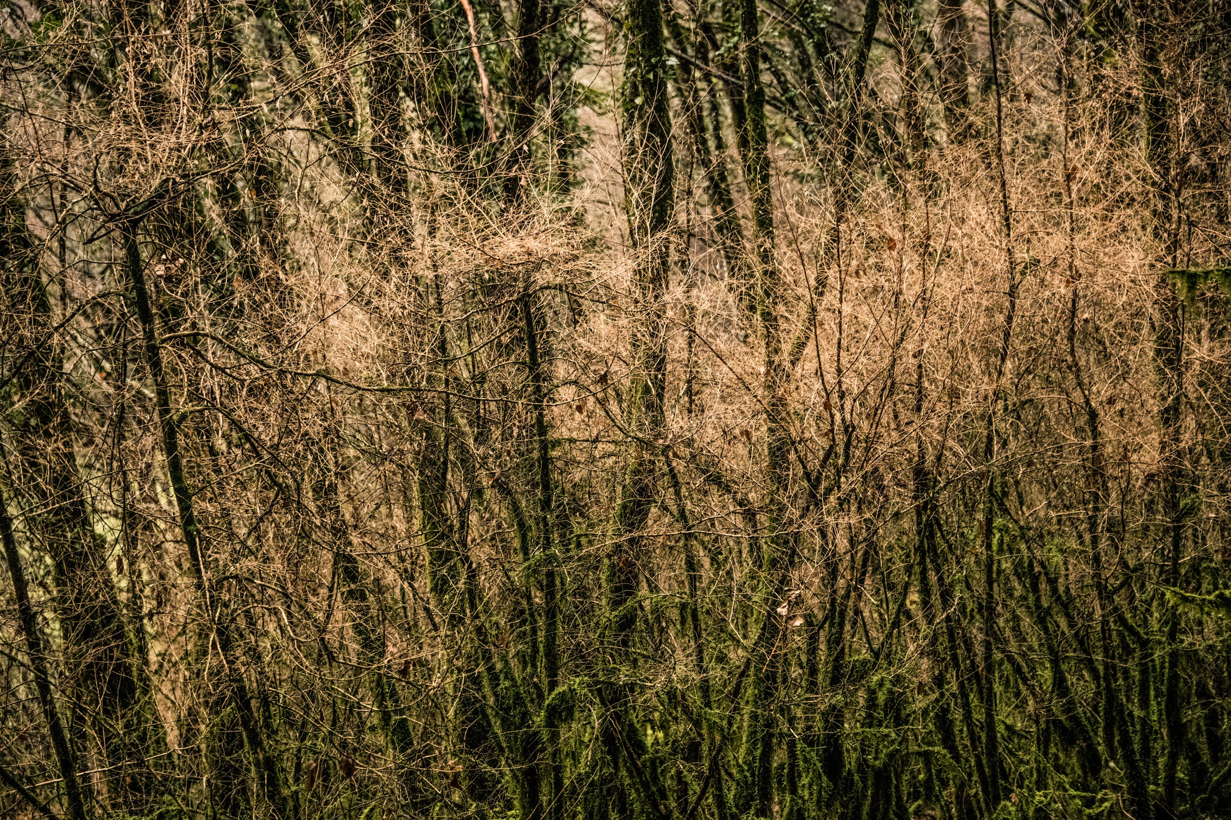 explorations (2017) - 18.jpg