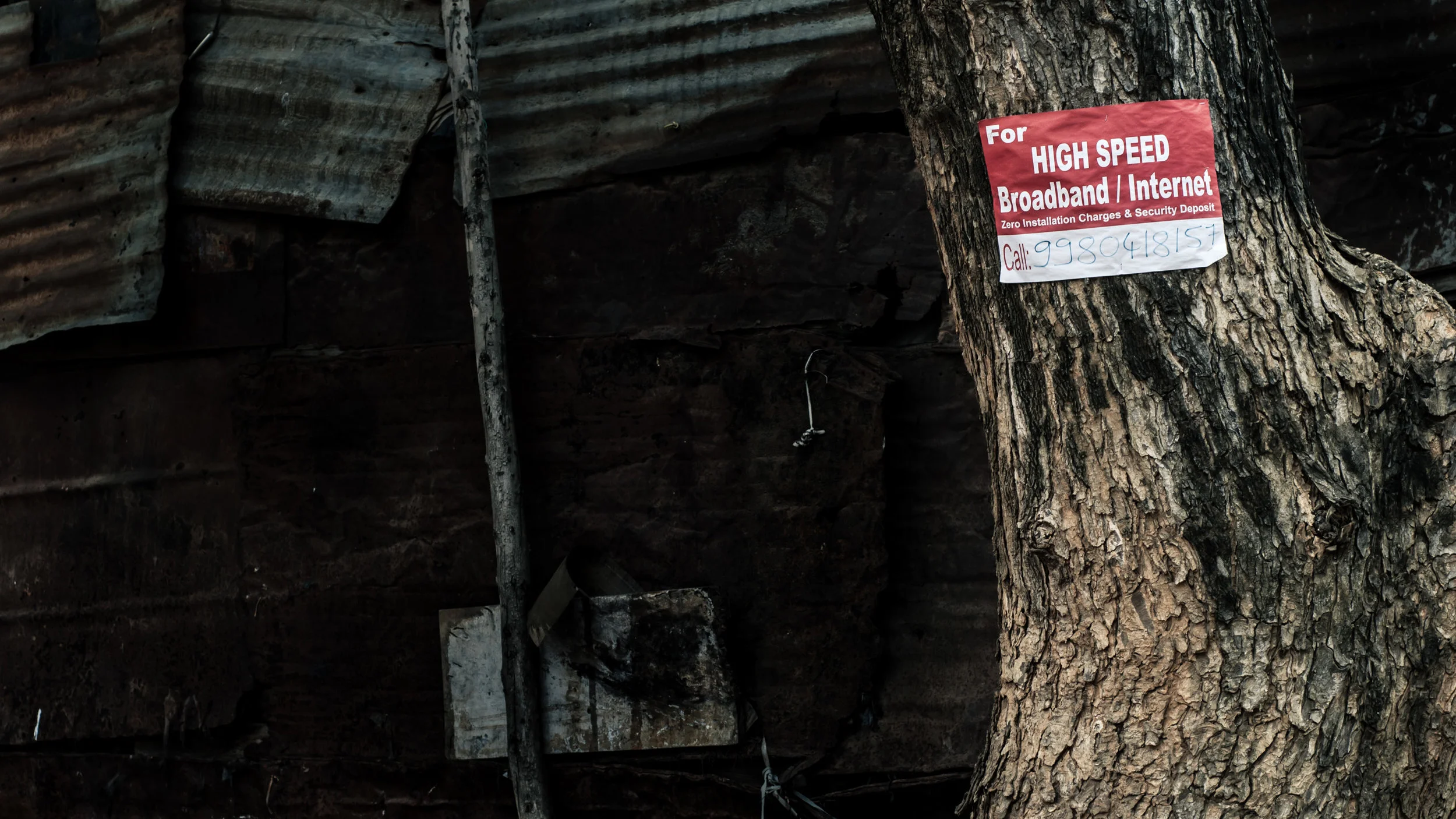 india (2011) - 03.jpg