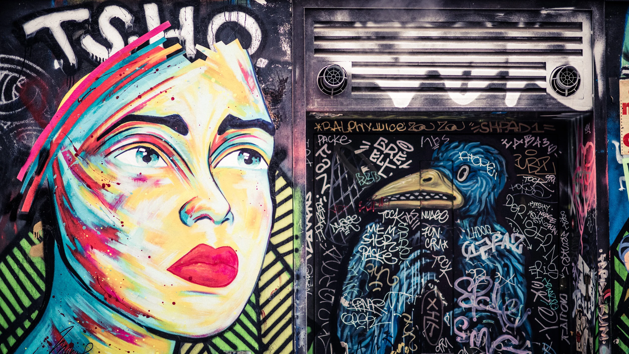 Rue Dénoyez (2019)