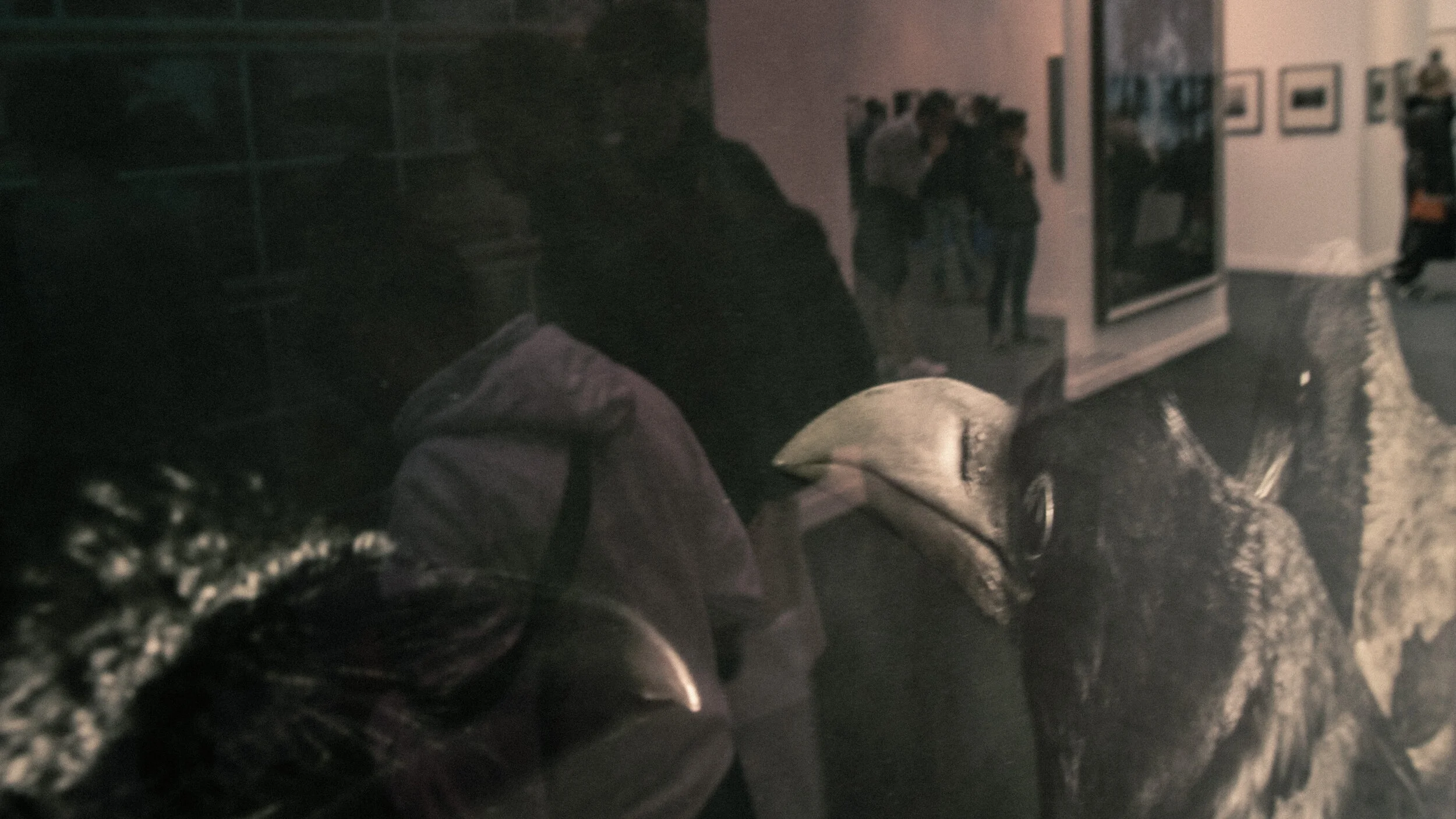 Les Oiseaux Noirs (2019)