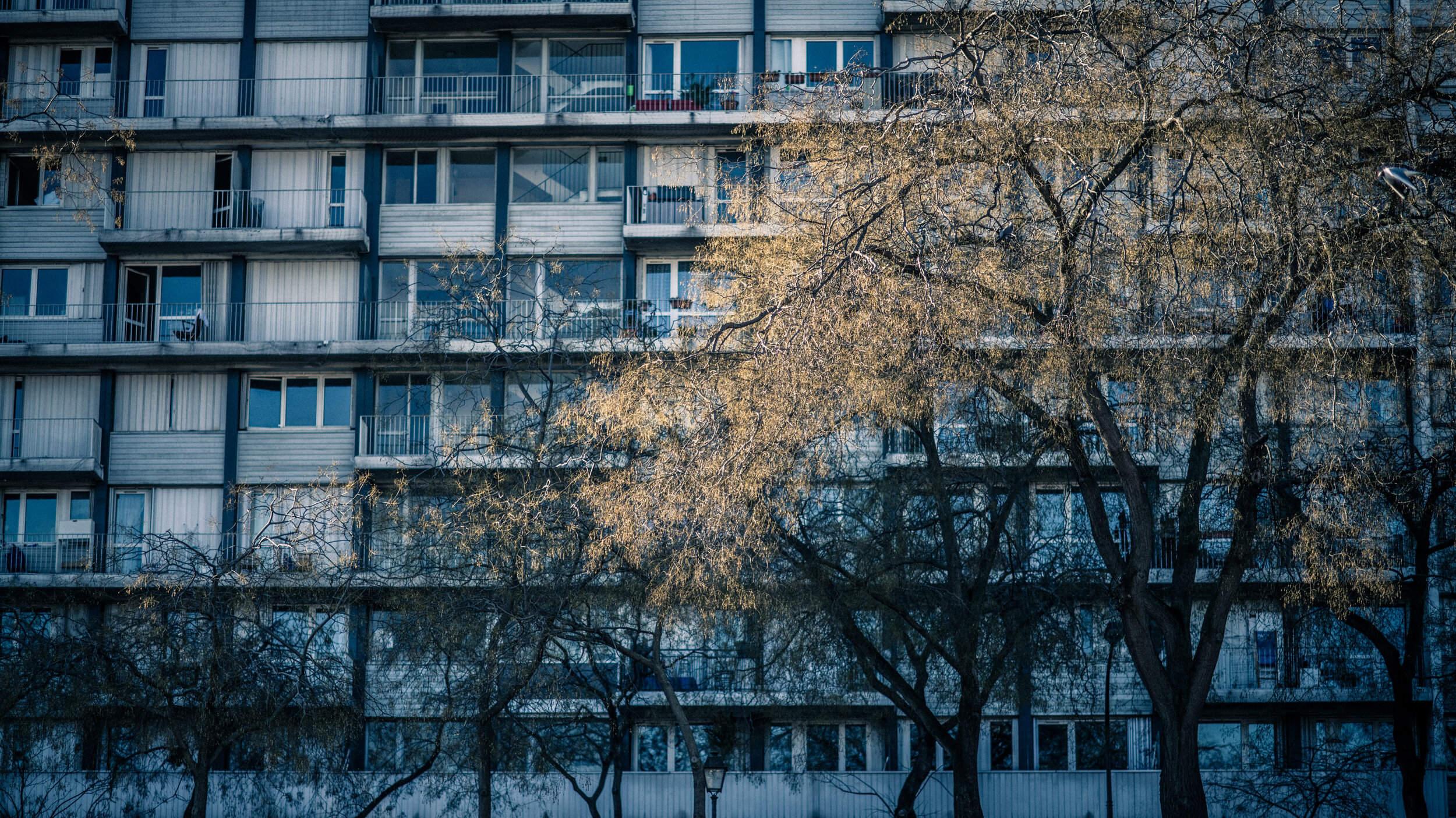 Bassin de l’Arsenal (2019)