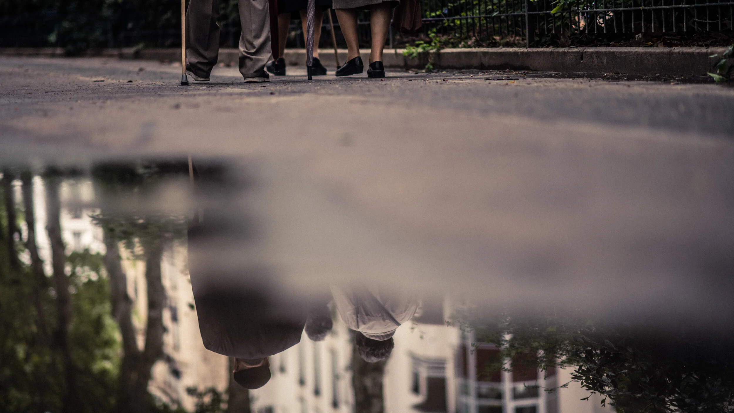 Les Vieux (2019)