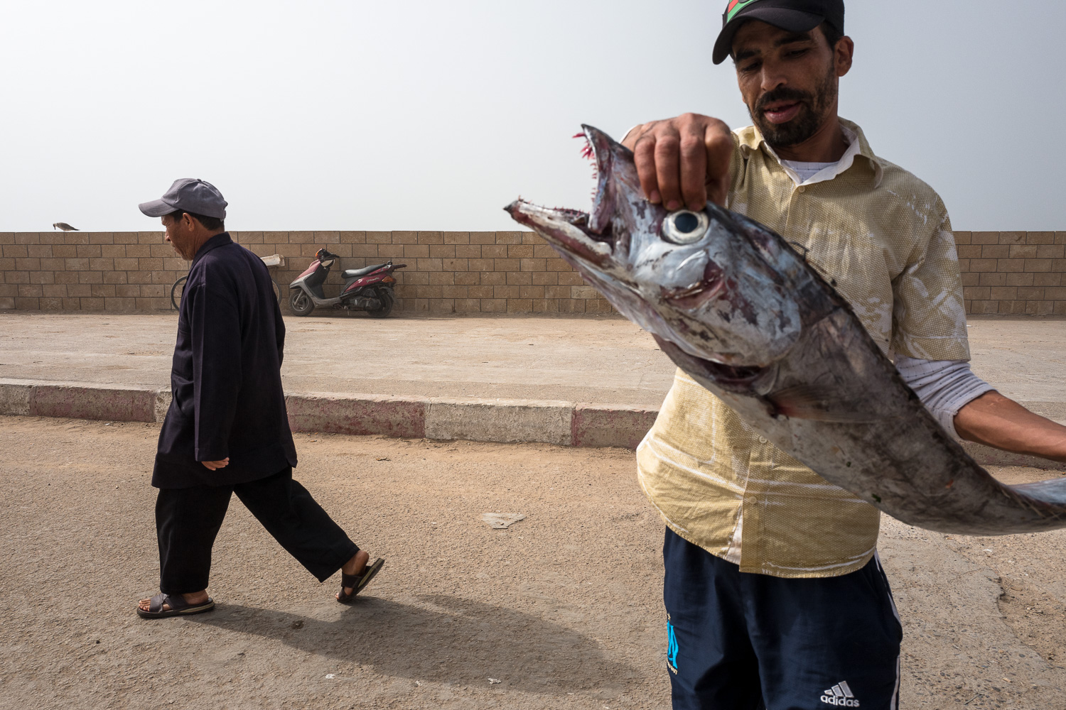 Essaouira-05 octobre 2018-1-3.jpg