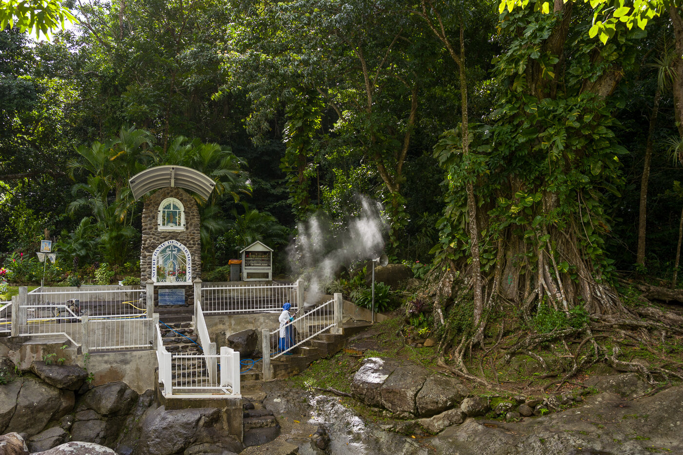 Guadeloupe-06 décembre 2019-1-6.jpg