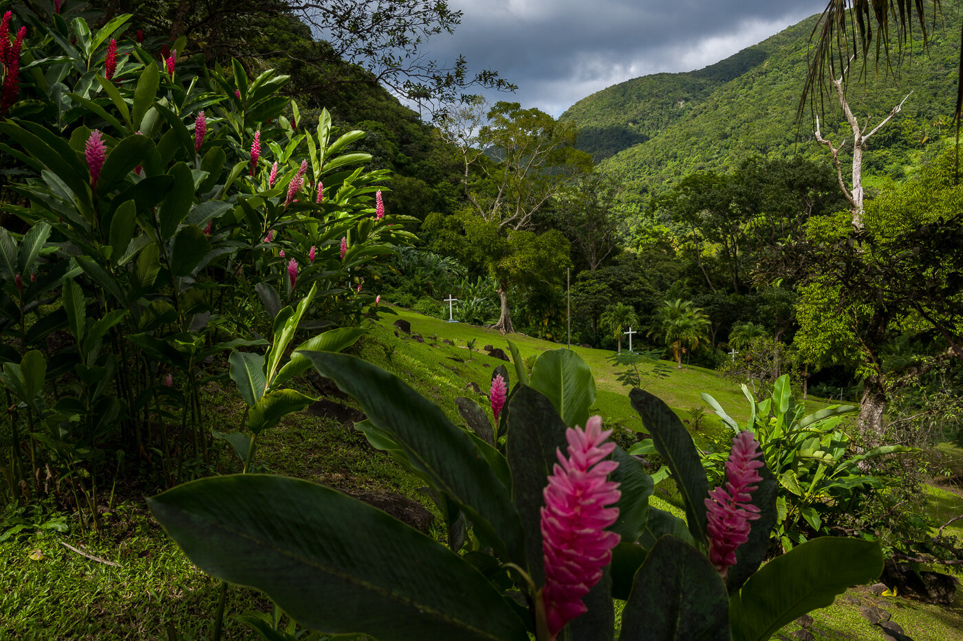 Guadeloupe-06 décembre 2019-1-2.jpg