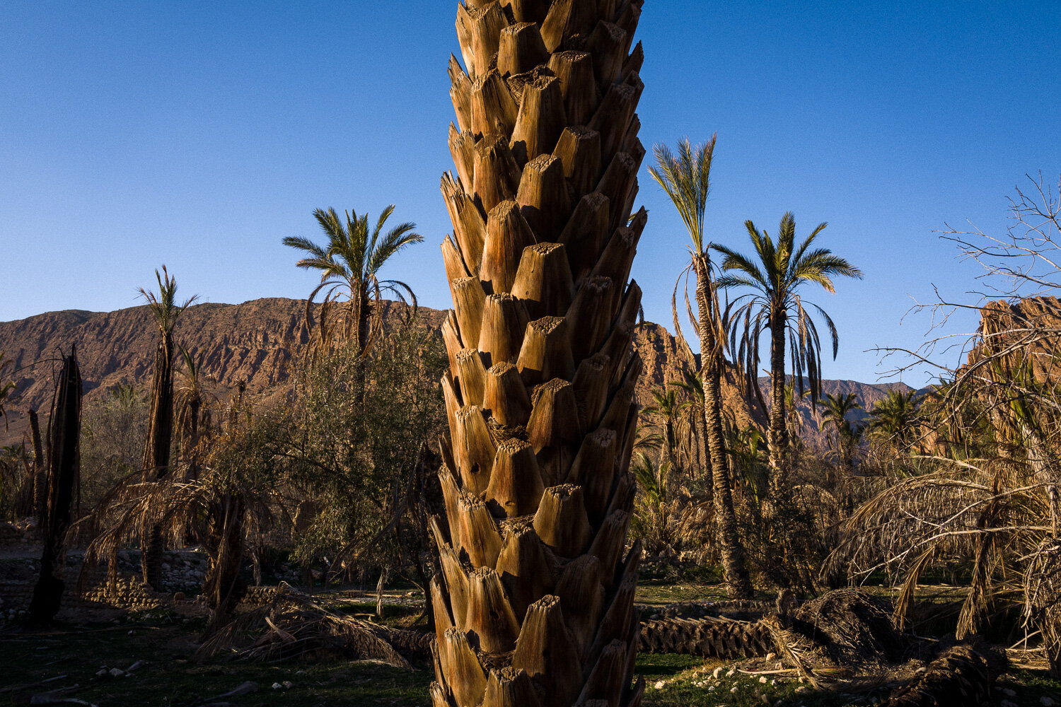 El Kantara, Algérie