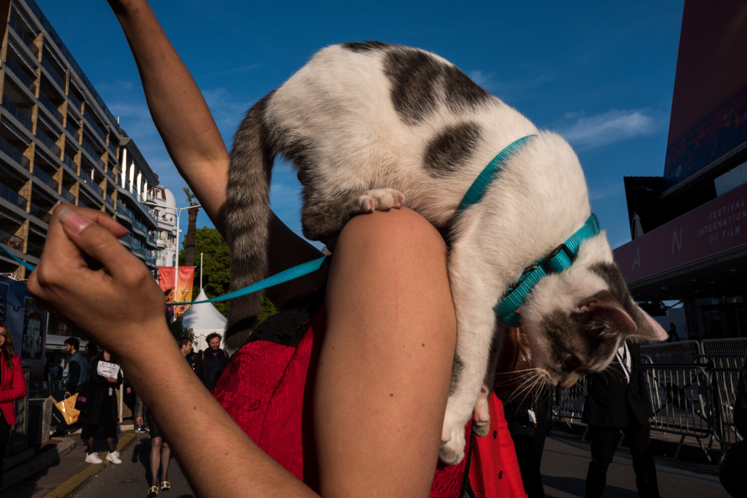 Cannes-21 mai 2019-1-6.jpg