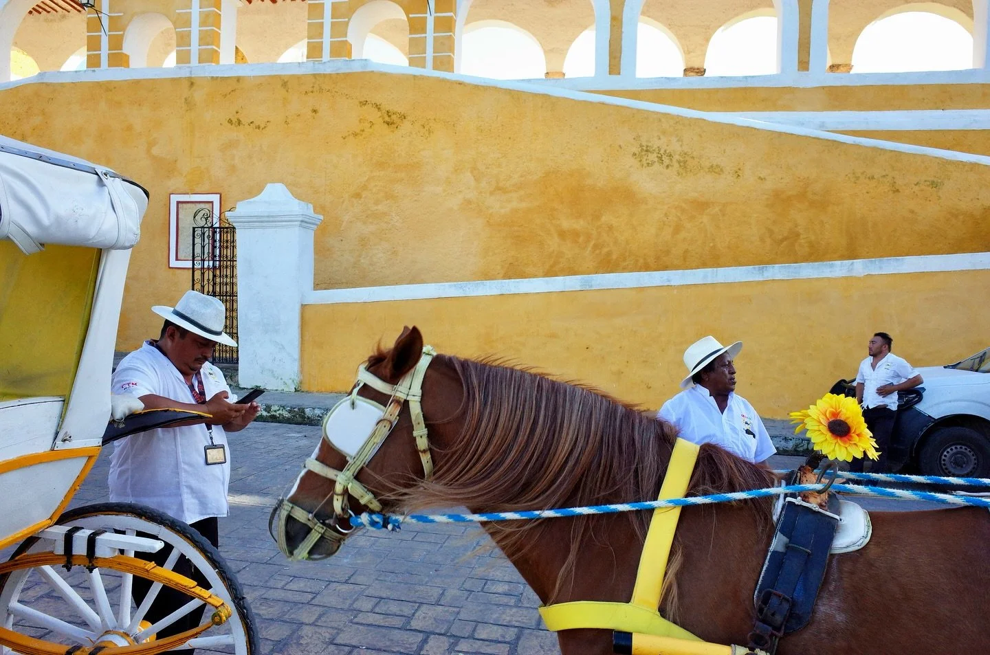 #archive Yucat&aacute;n, Mexico, 2023 
.
.
.
.
.
.
.
.
.
.
.
#realismagazine #timetobehave #photocinematica #streetlife_award #thinkverylittle #street_ninjas #storyofthestreet #streetleaks #street_vision #leicacamera #filmic_streets #leicacamerafranc