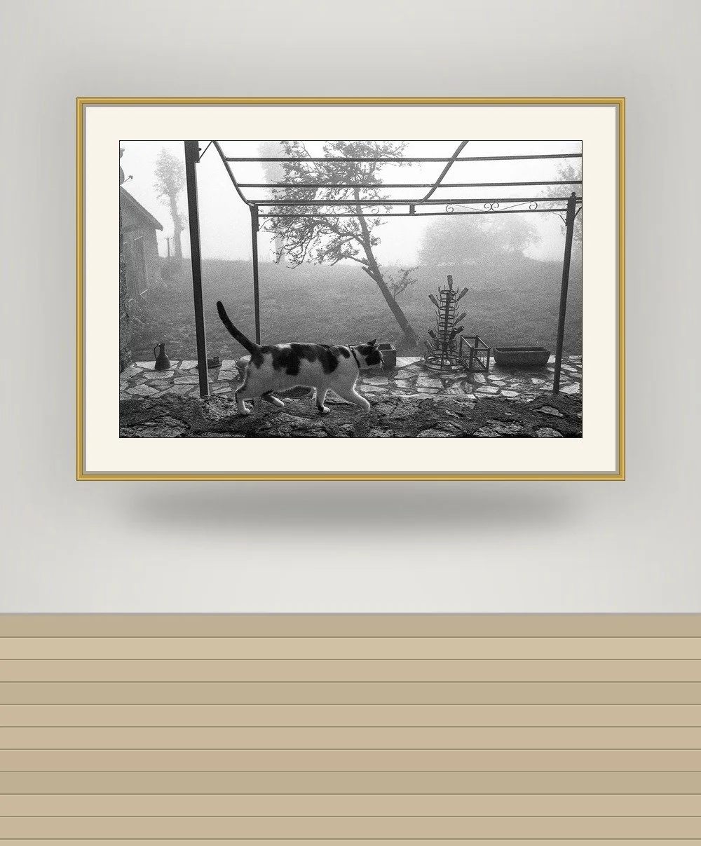 mockup_69f2074601f4454a9c47e6bd.jpg