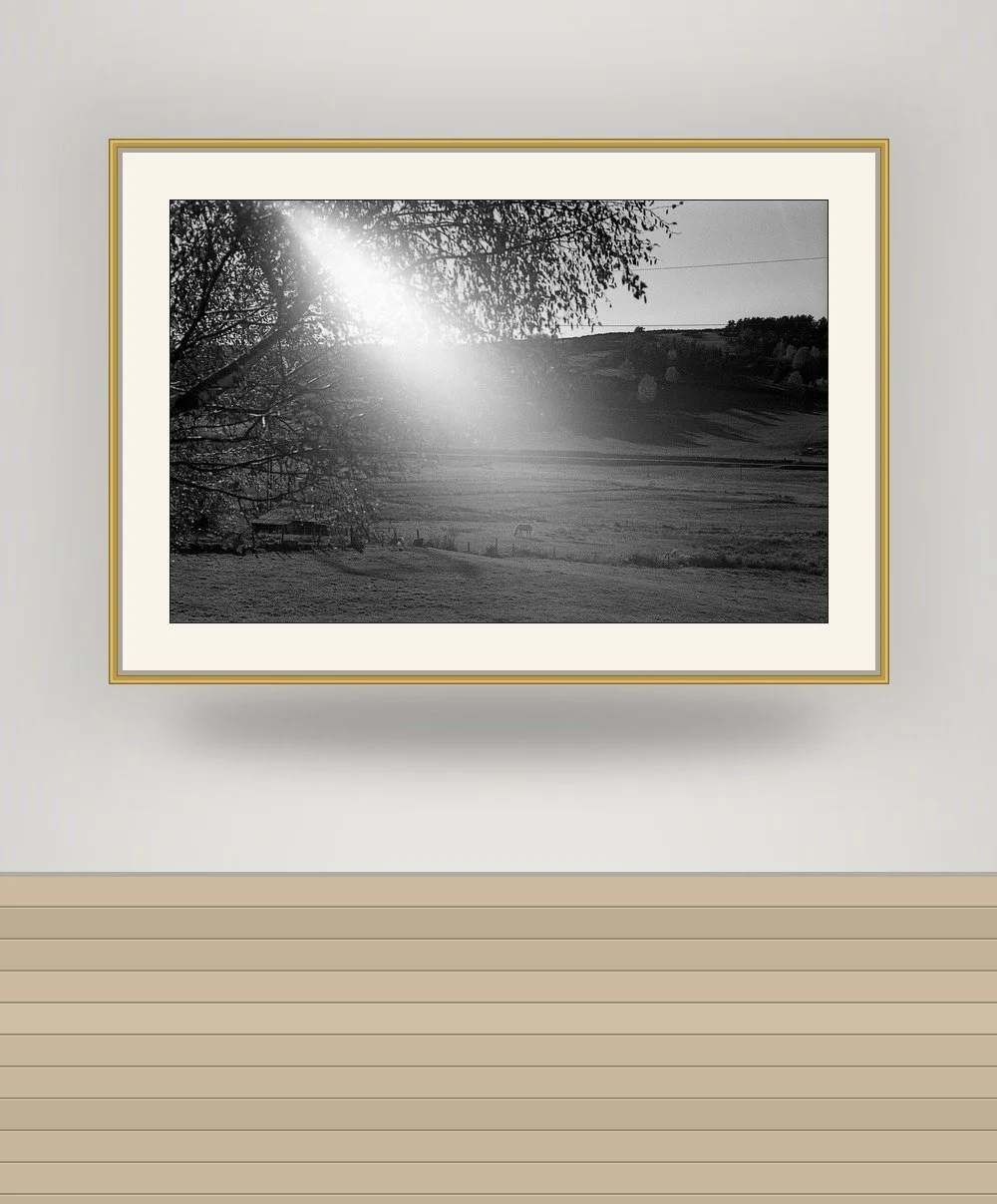 mockup_69f2072e3017de2444cdbbfa.jpg