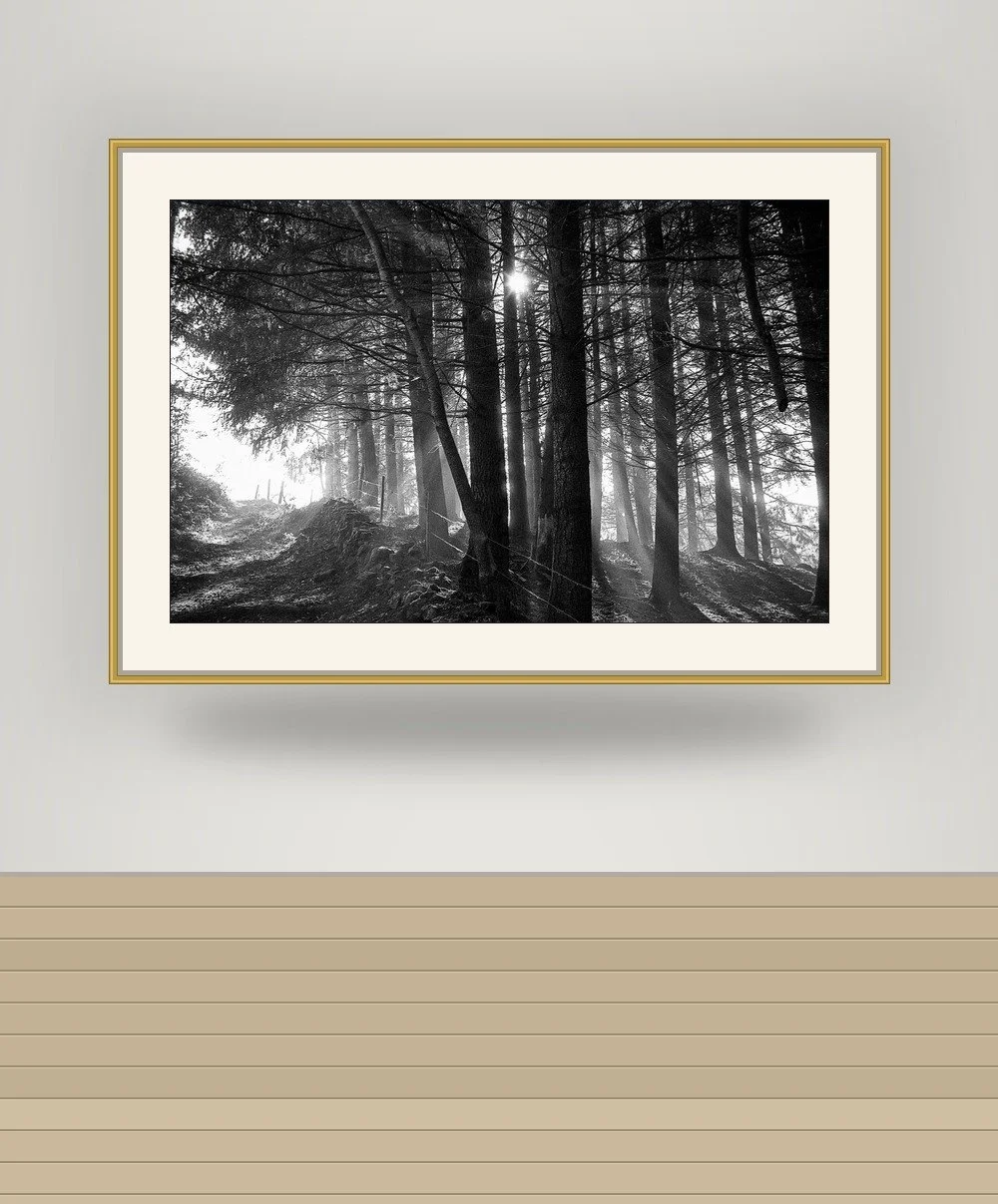 mockup_69f2072b3017de2444cdbbf8.jpg