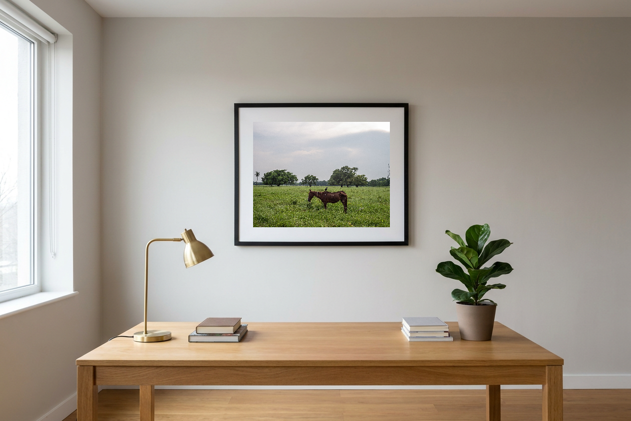 lensible-mockup-9c69ac08-5399-4793-851f-a757a9d9843c.png
