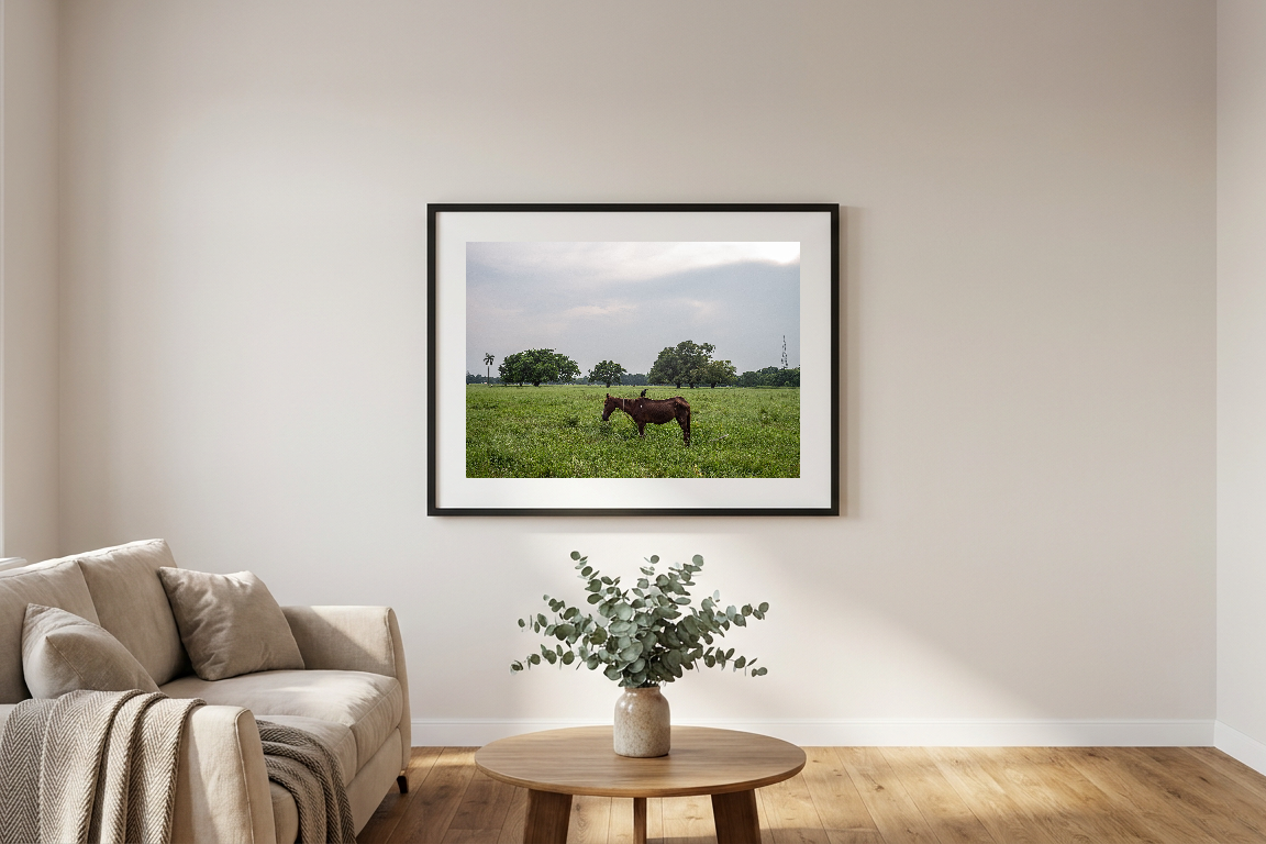 lensible-mockup-7cba1c81-ac47-40a2-8800-5ff3fcaeb74d.png