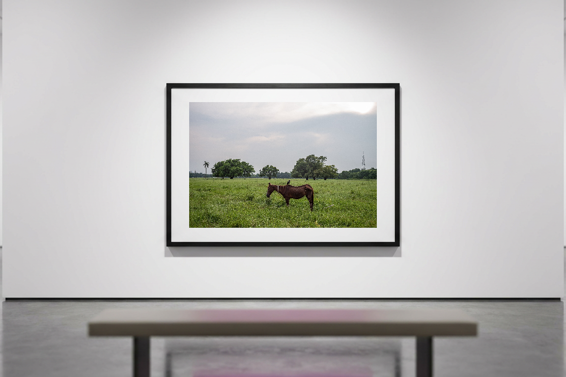 lensible-mockup-4ee6d426-e26c-4700-b47a-0e632fcb7b80.png