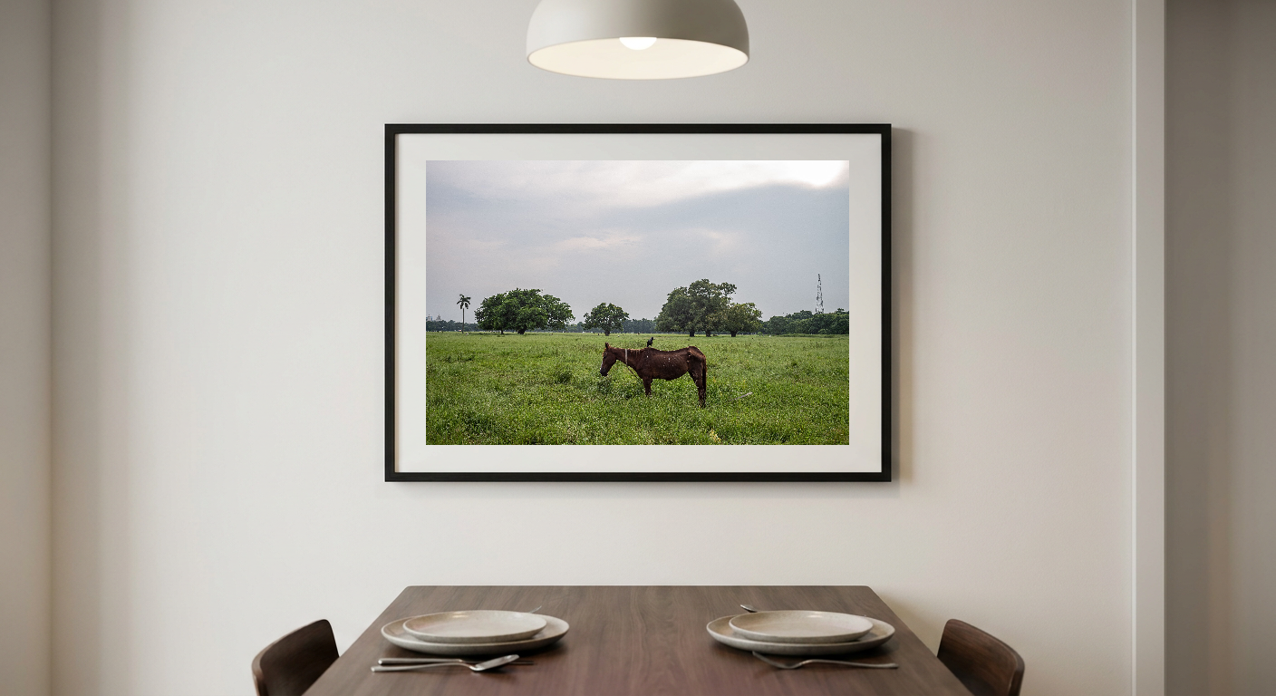 lensible-mockup-440f047a-8a9f-4e2c-8ff4-b23b19a28ff6.png